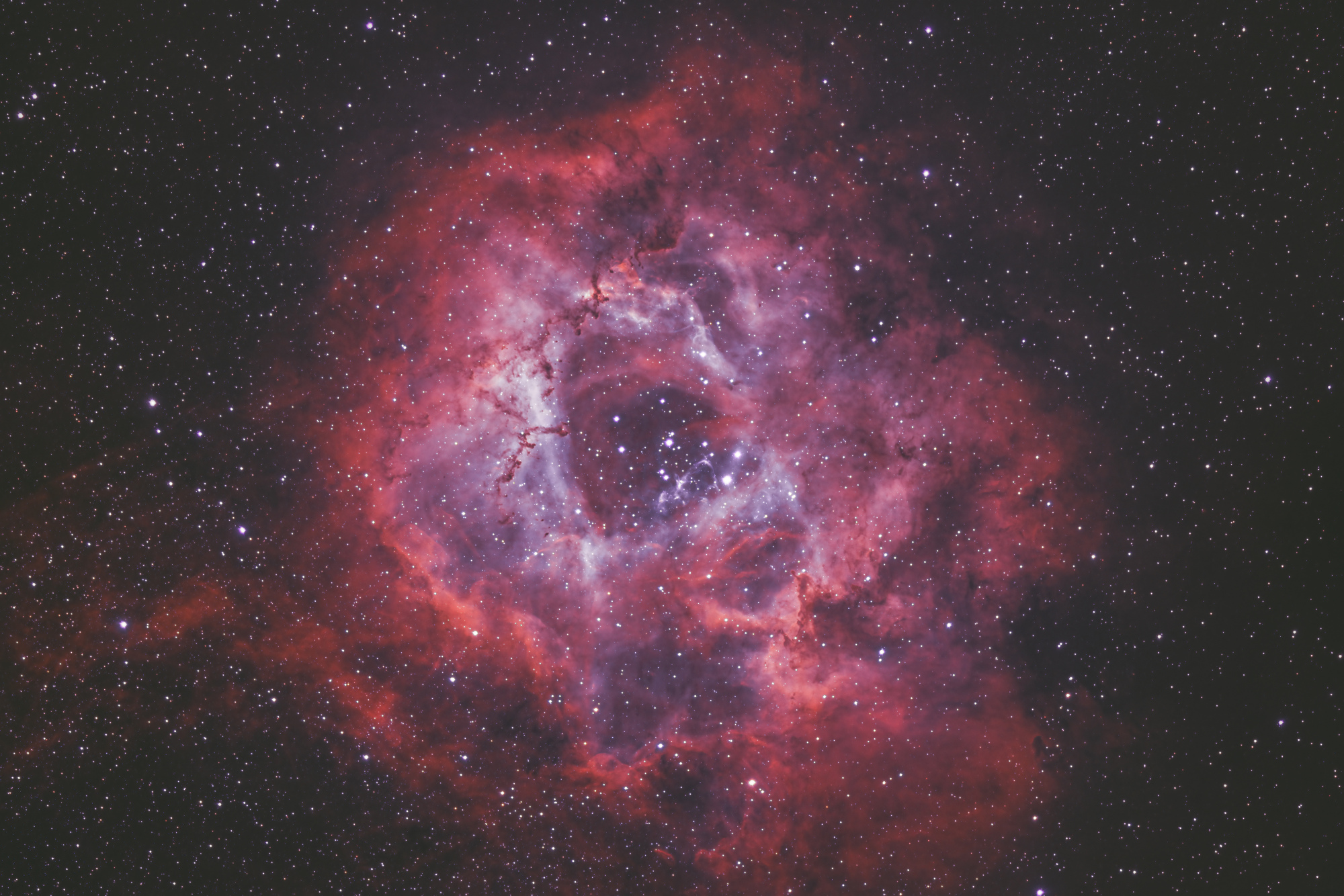NGC2237_HOO.jpg