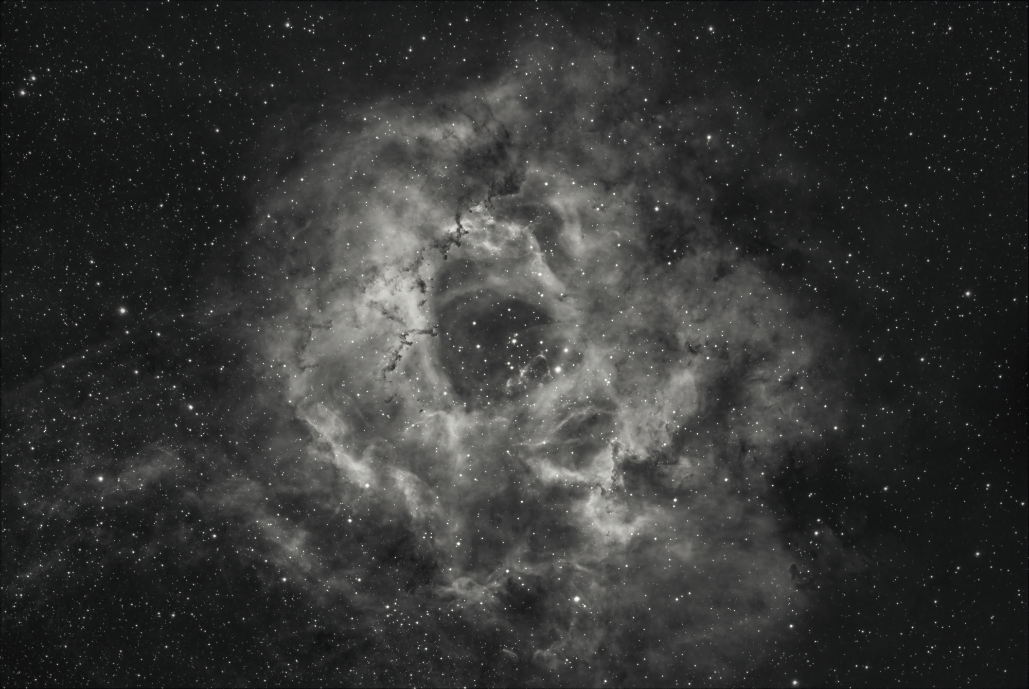 NGC2237_Ha.jpg