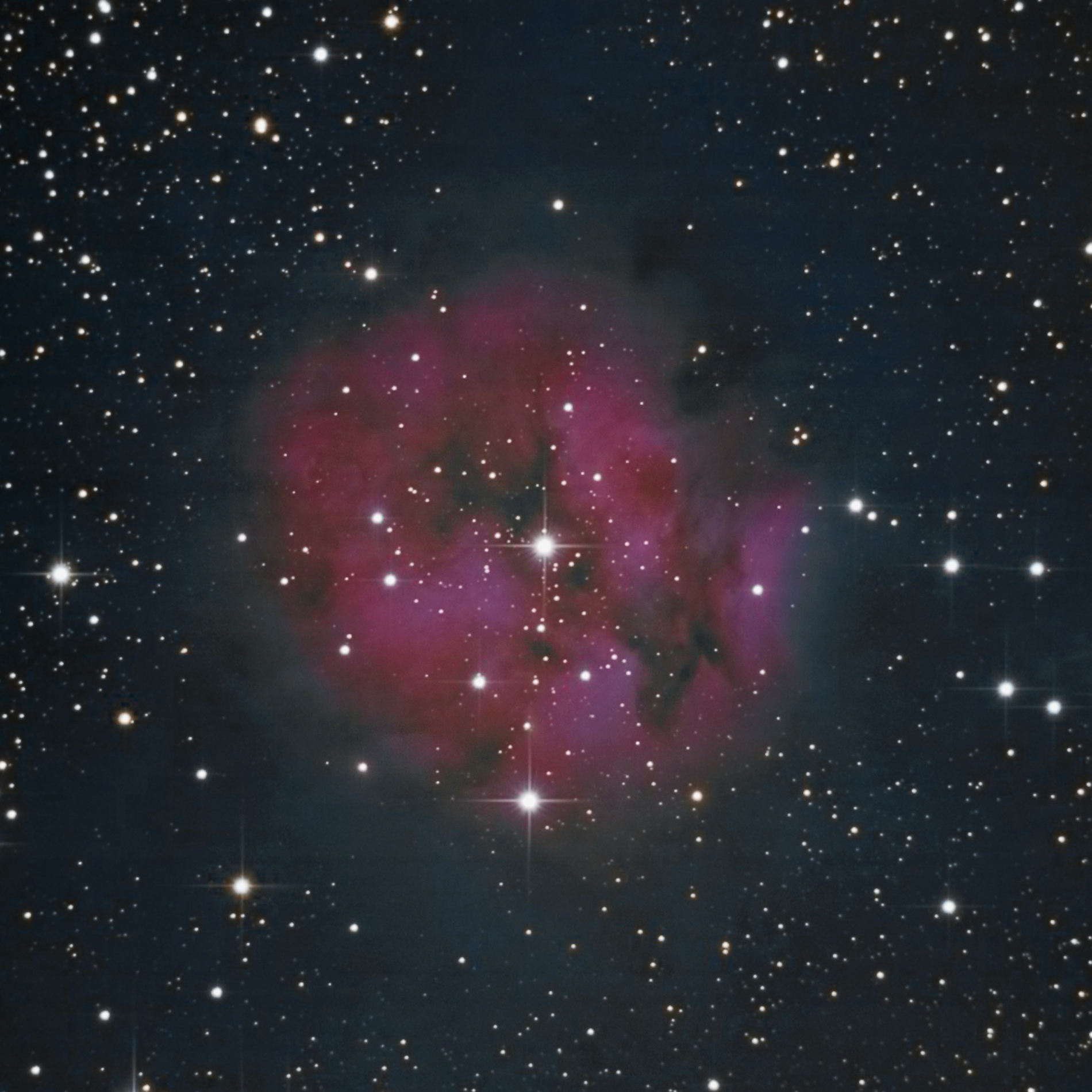 "Cocoon Nebula" IC5146