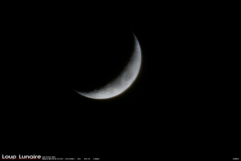 Mun Hagakure (lune caché dans le feuillage) 30-12-19