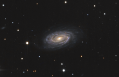Galaxy NGC5985