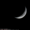 Mun Hagakure (lune caché dans le feuillage) 30-12-19
