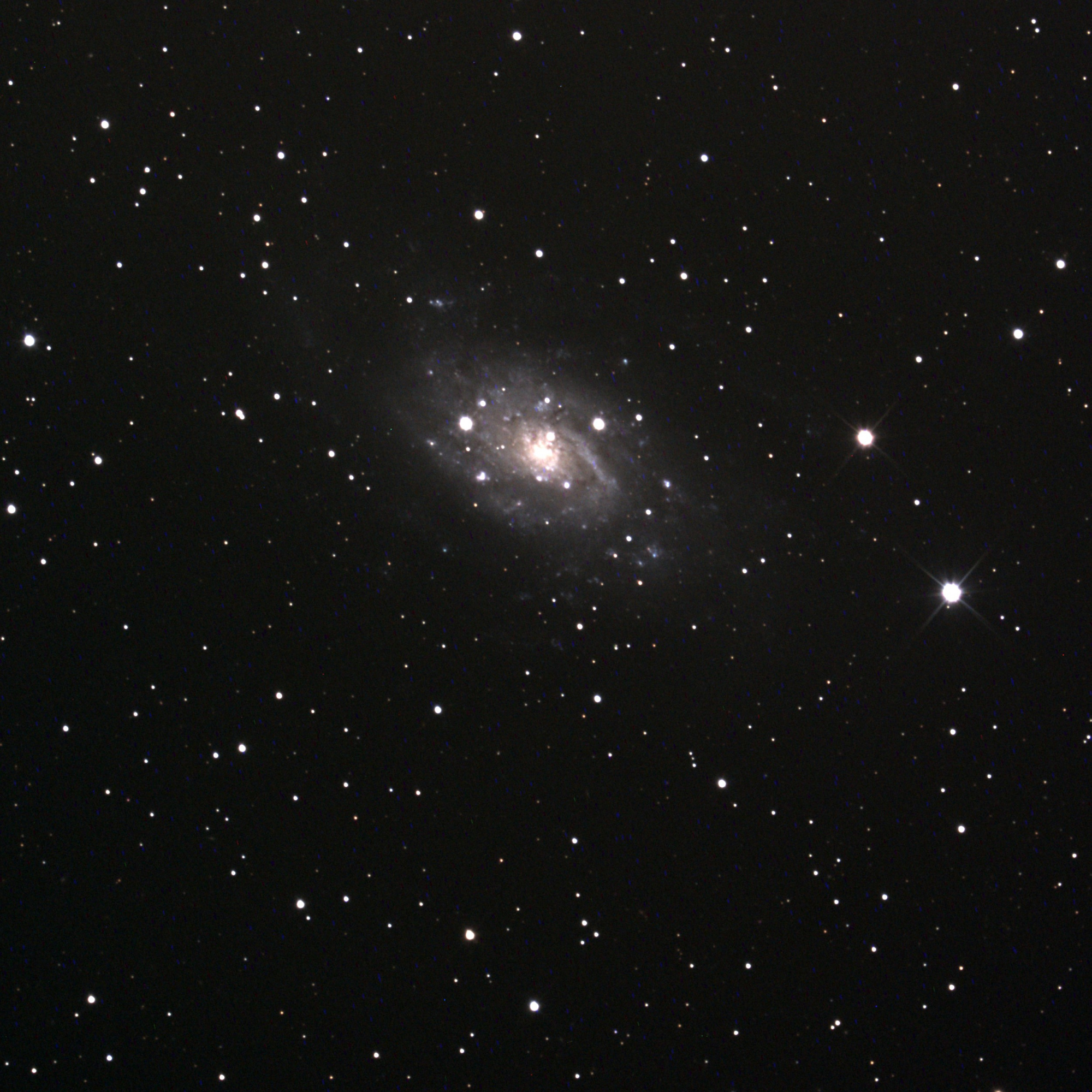 NGC2403-couleur.jpg