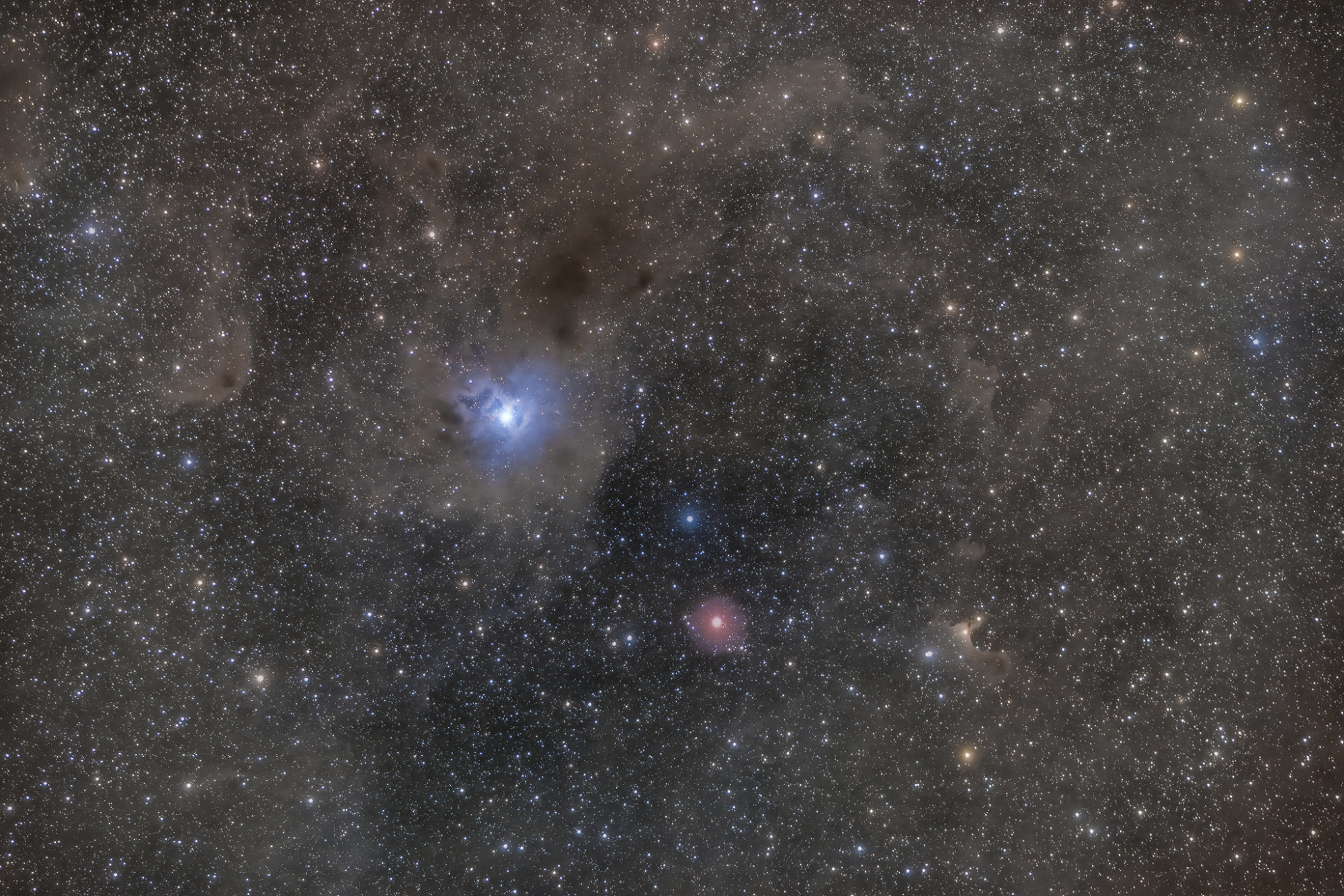 NGC7023-2048-.thumb.JPG.7e63c8386e9687c0178cac6b7b576531.JPG