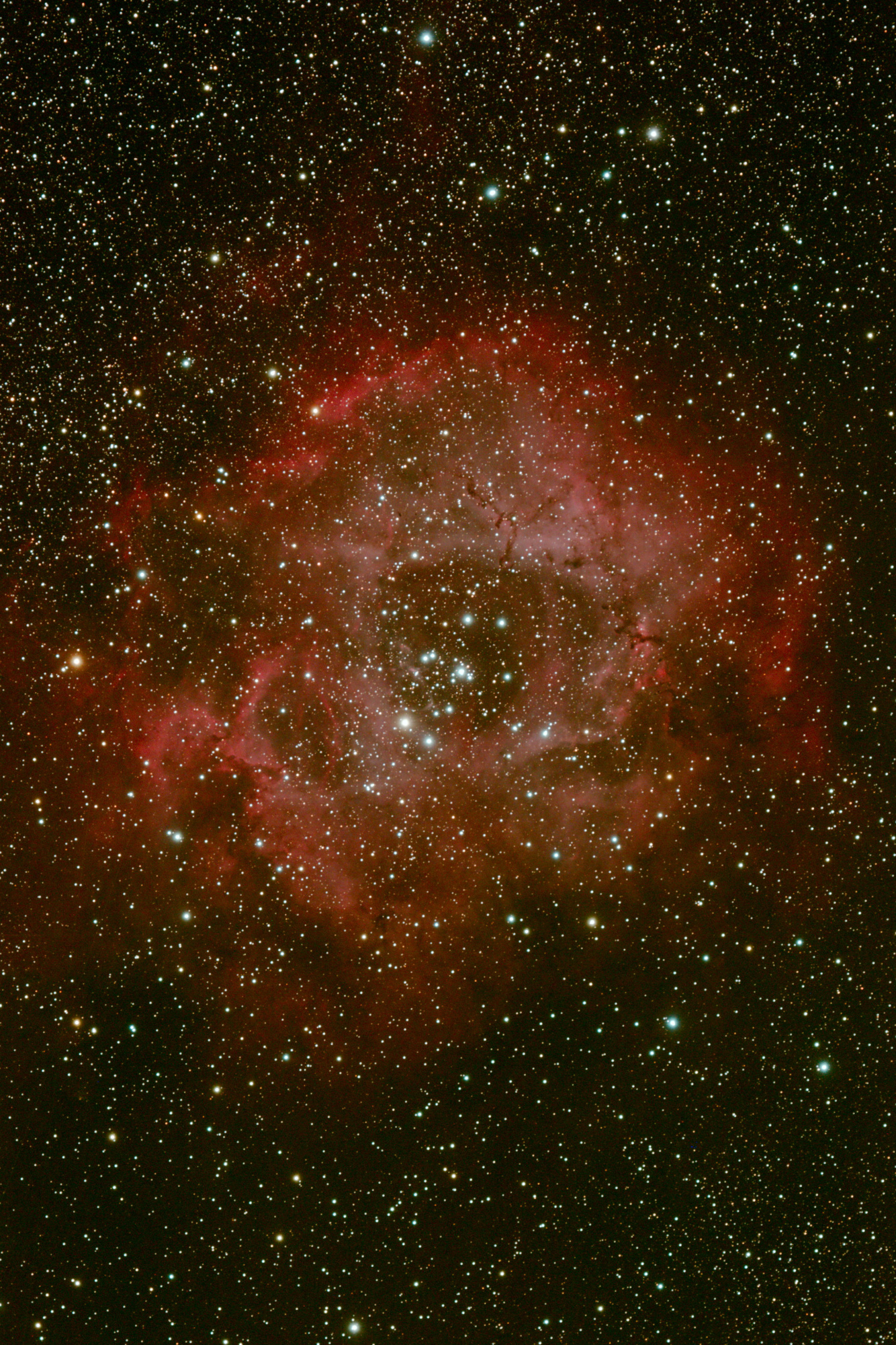 NGC2237 20200224.jpg
