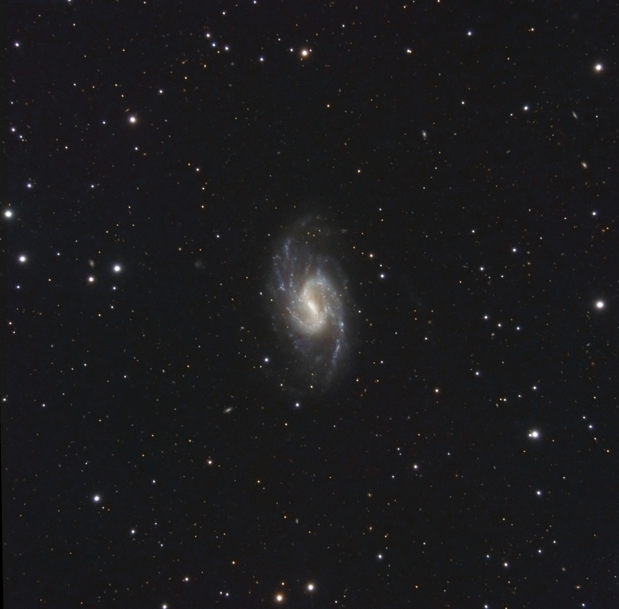 NGC_3359_X_aHL2_RGB_TA.jpg.602ed3052cead0fdc72a93f68d5ca512.jpg