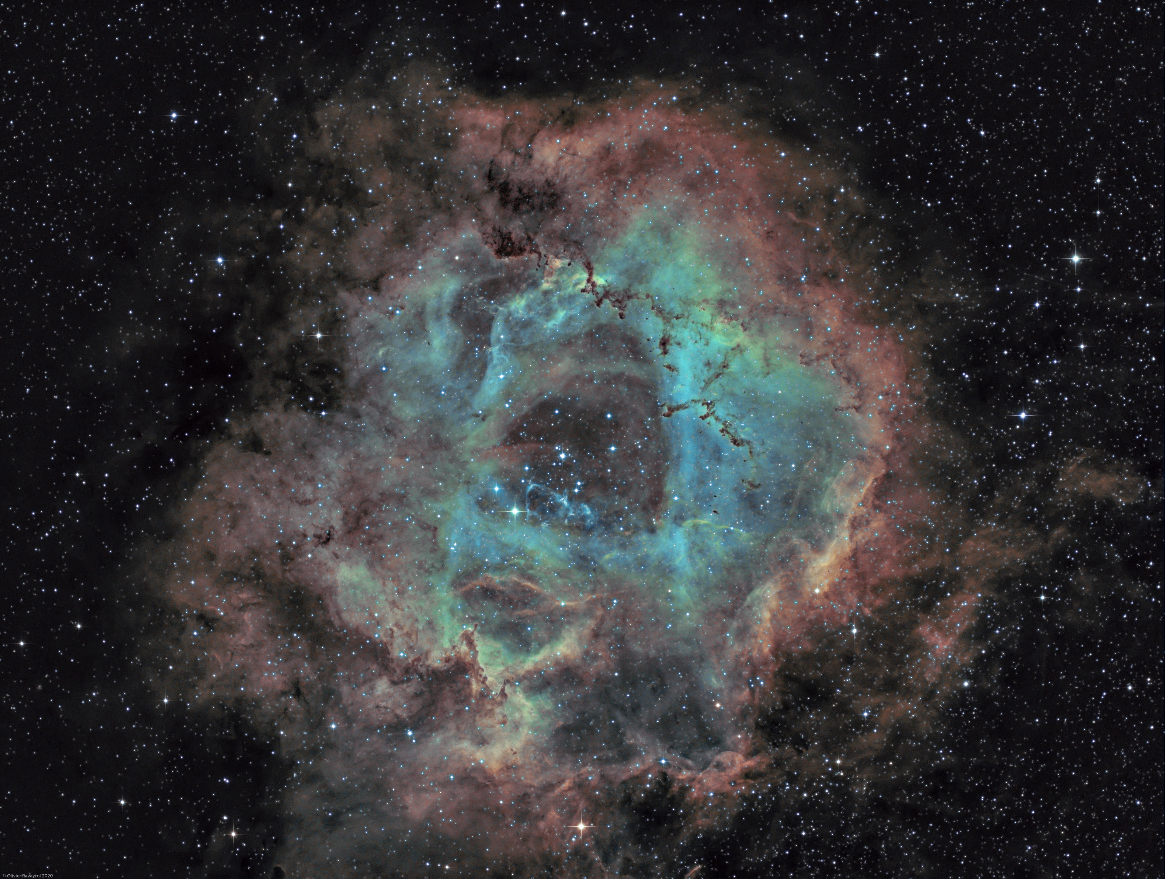 NGC 2237 - Nébuleuse de la Rosette (Ha-SHO)