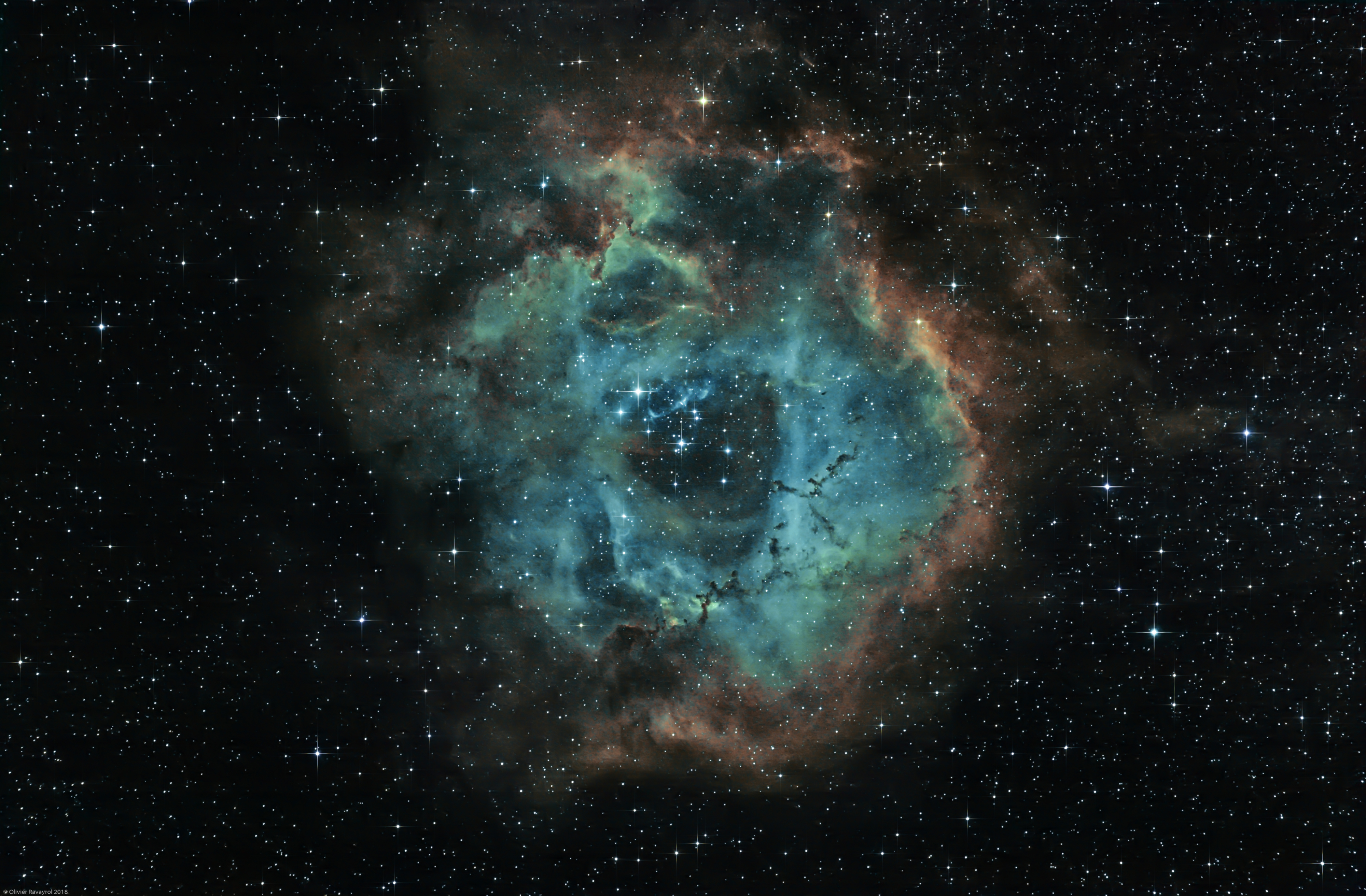 Nébuleuse de la Rosette en Ha-SHO (NGC 2237)
