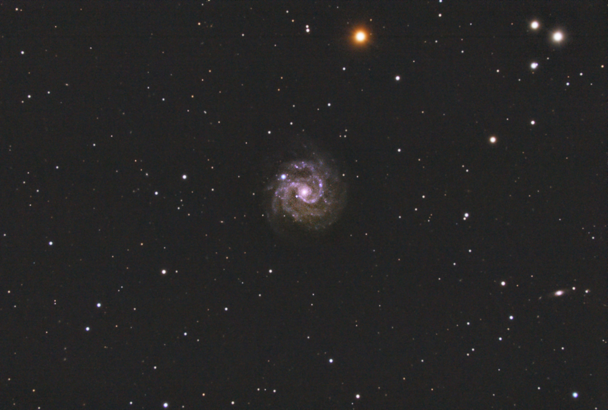5e62b9310821a_NGC3184115x30d.thumb.jpg.84d6b6c5fd412f9f545cef39c6797df5.jpg