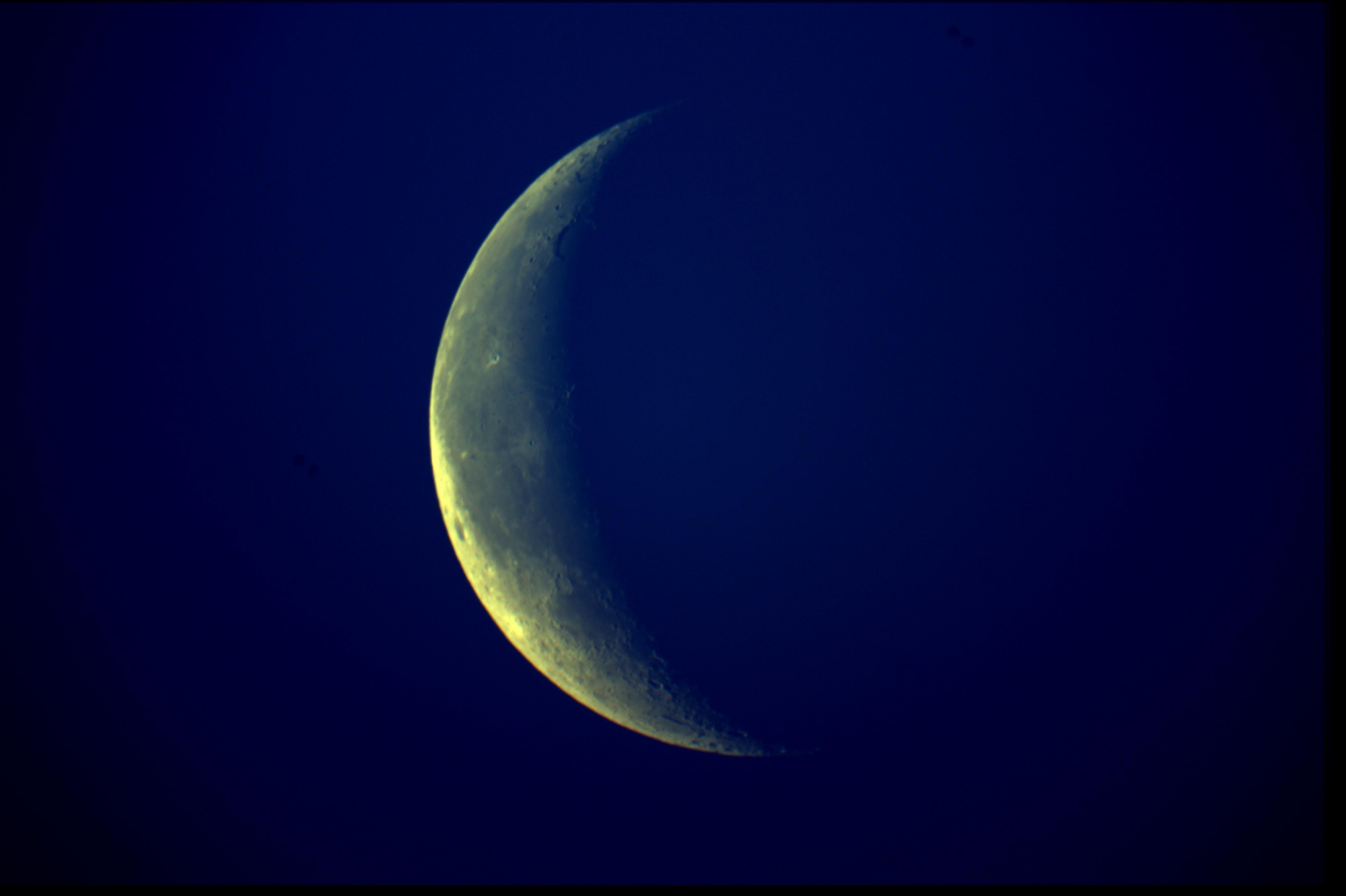 lune iris.jpg