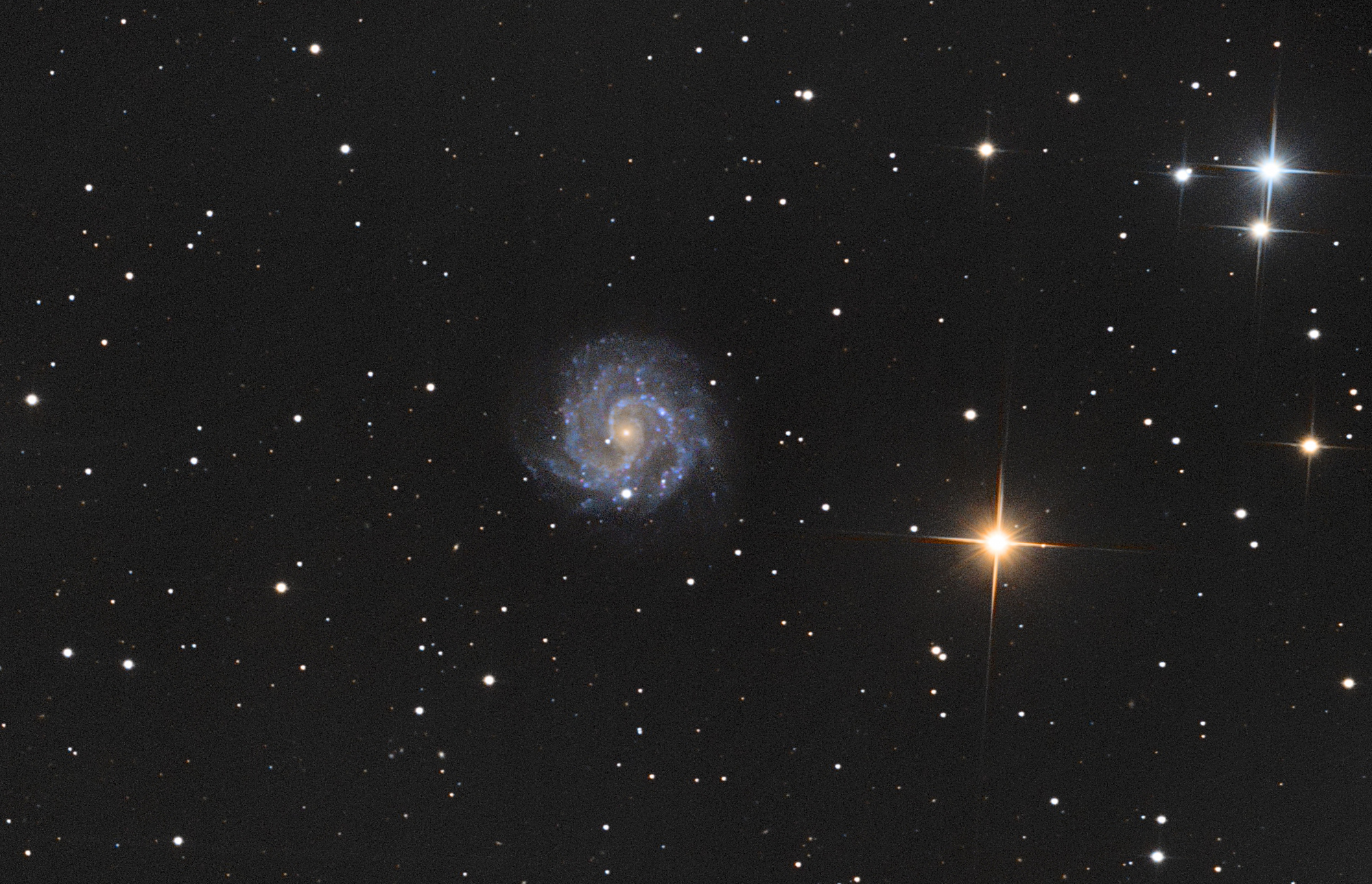 NGC_3184V1.thumb.jpg.00a127b62c5b7d0870e82ad29ac63b62.jpg