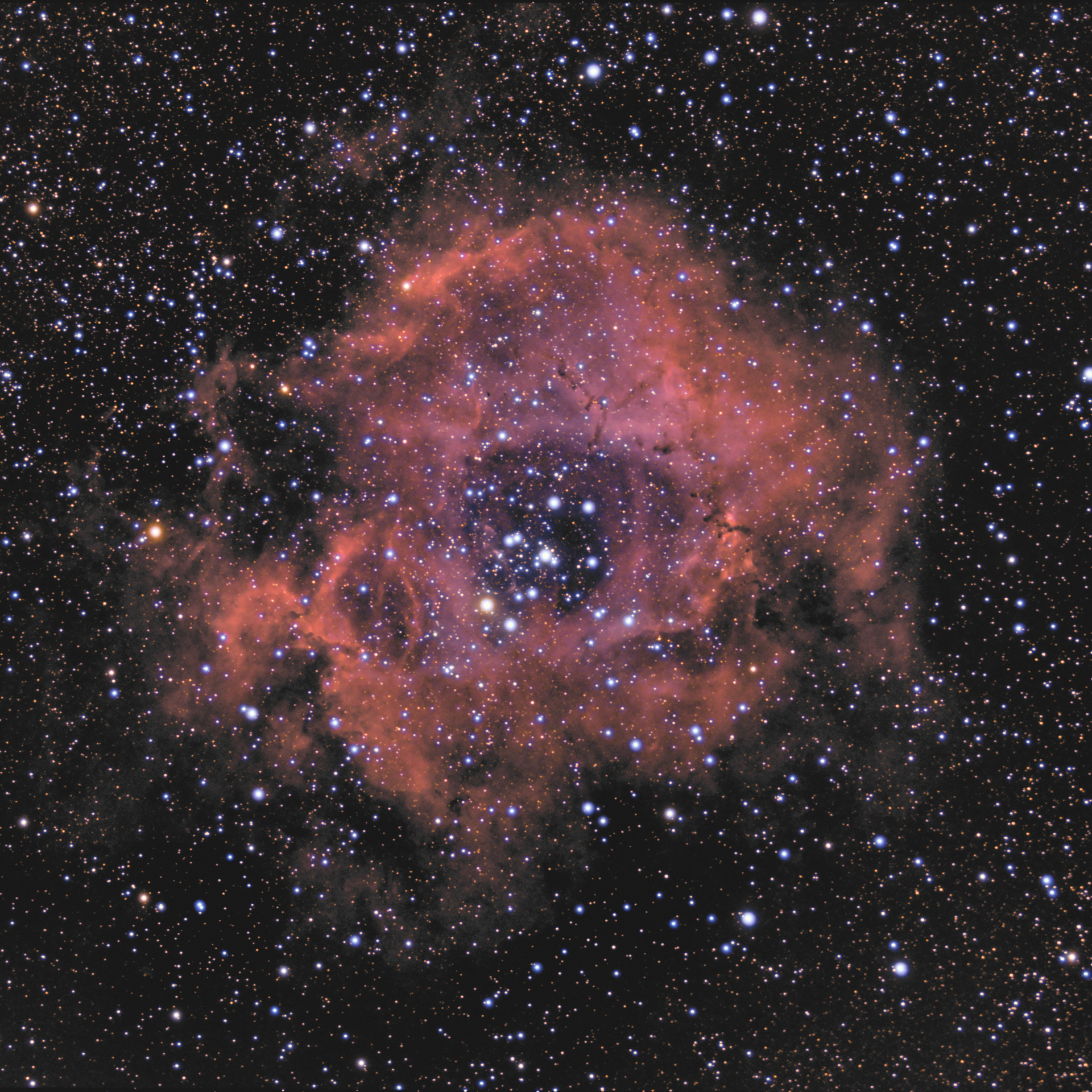 NGC 2244 20-21-02-2020.jpg