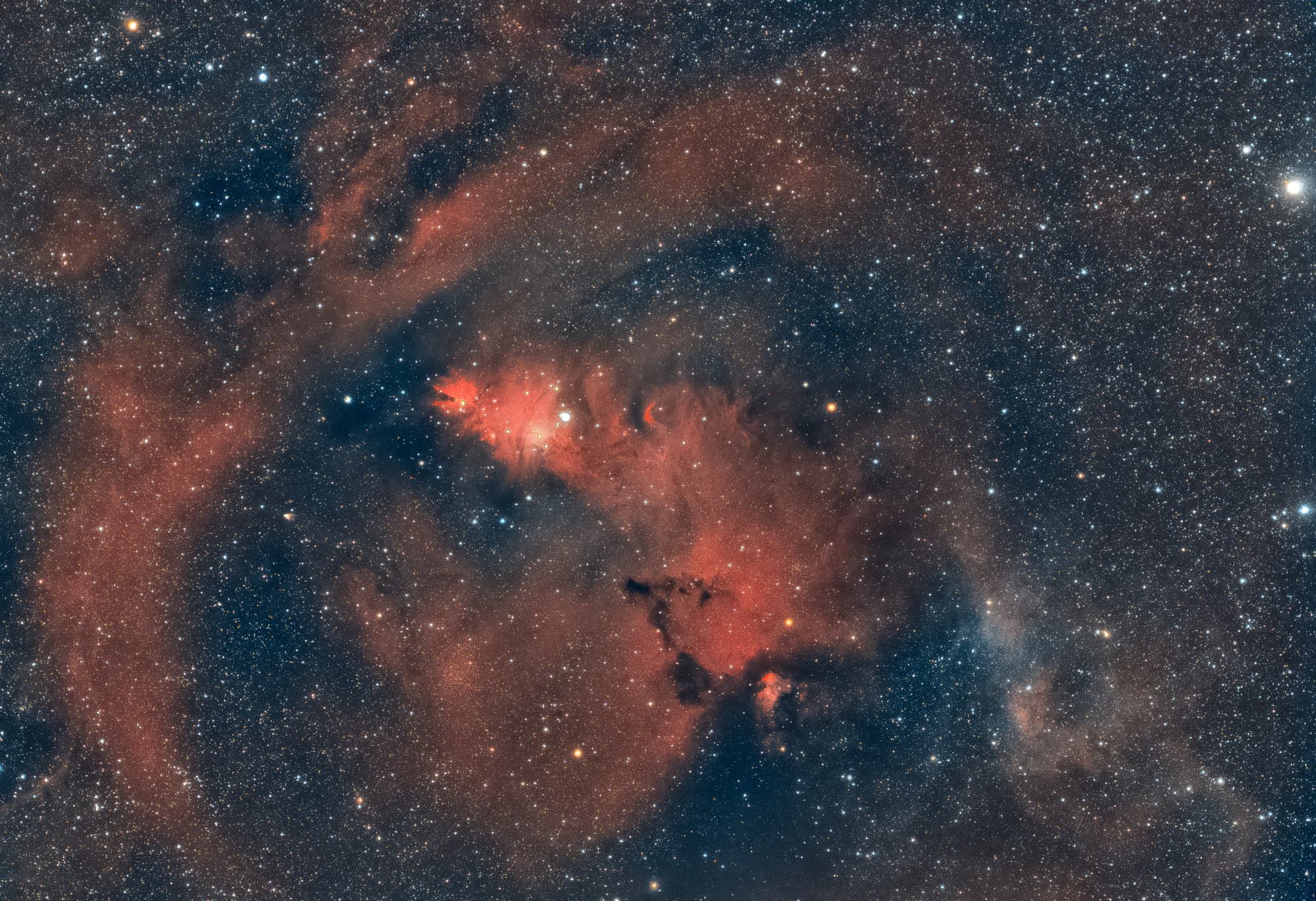neb_du_cone(NGC2264)__resultat.jpg
