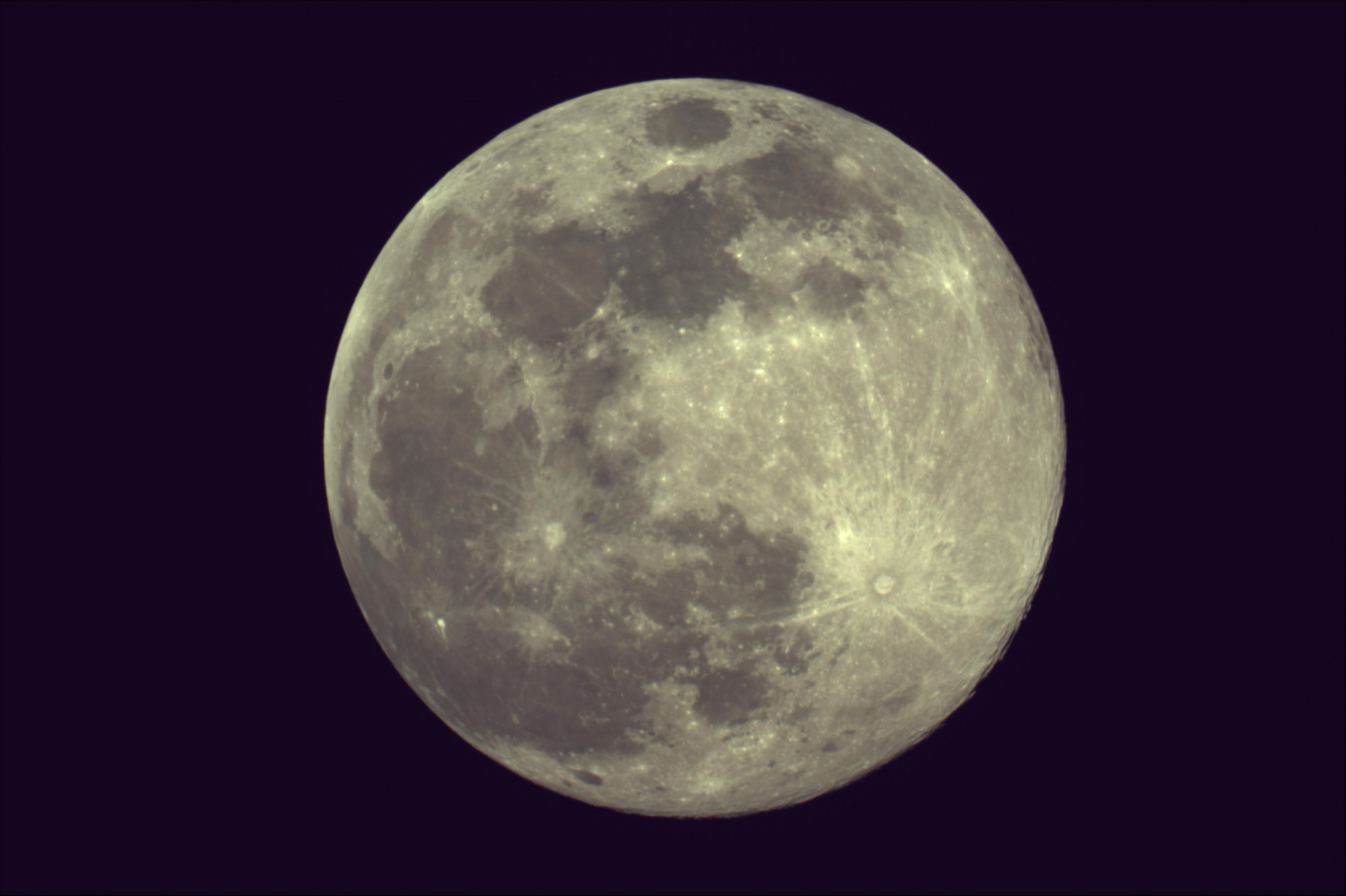 lune iris .jpg