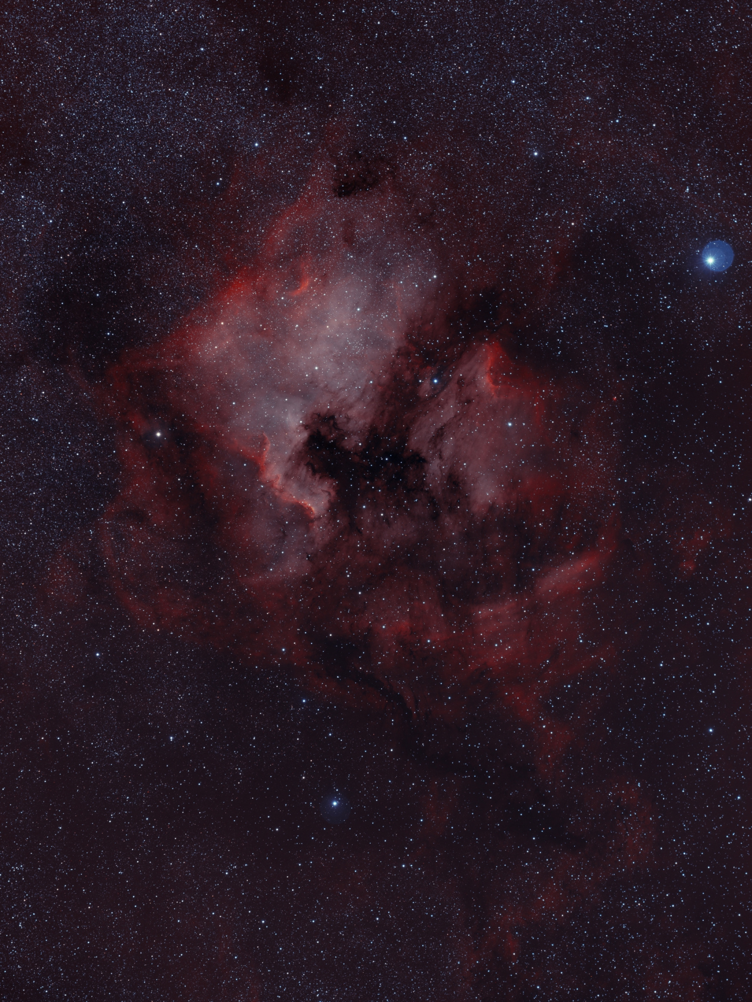 5ea596e8de1ab_NGC7000-HOO-4h50-3h30-50.thumb.jpg.98d21fa2938f9a119a001542b405c5cc.jpg