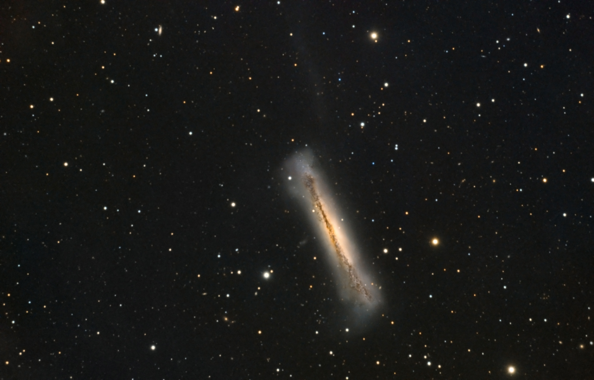 L-RGB_NGC3628_asi_final_180_web.jpg.3afec8125158dfe4fdb5a92d47e93f00.jpg