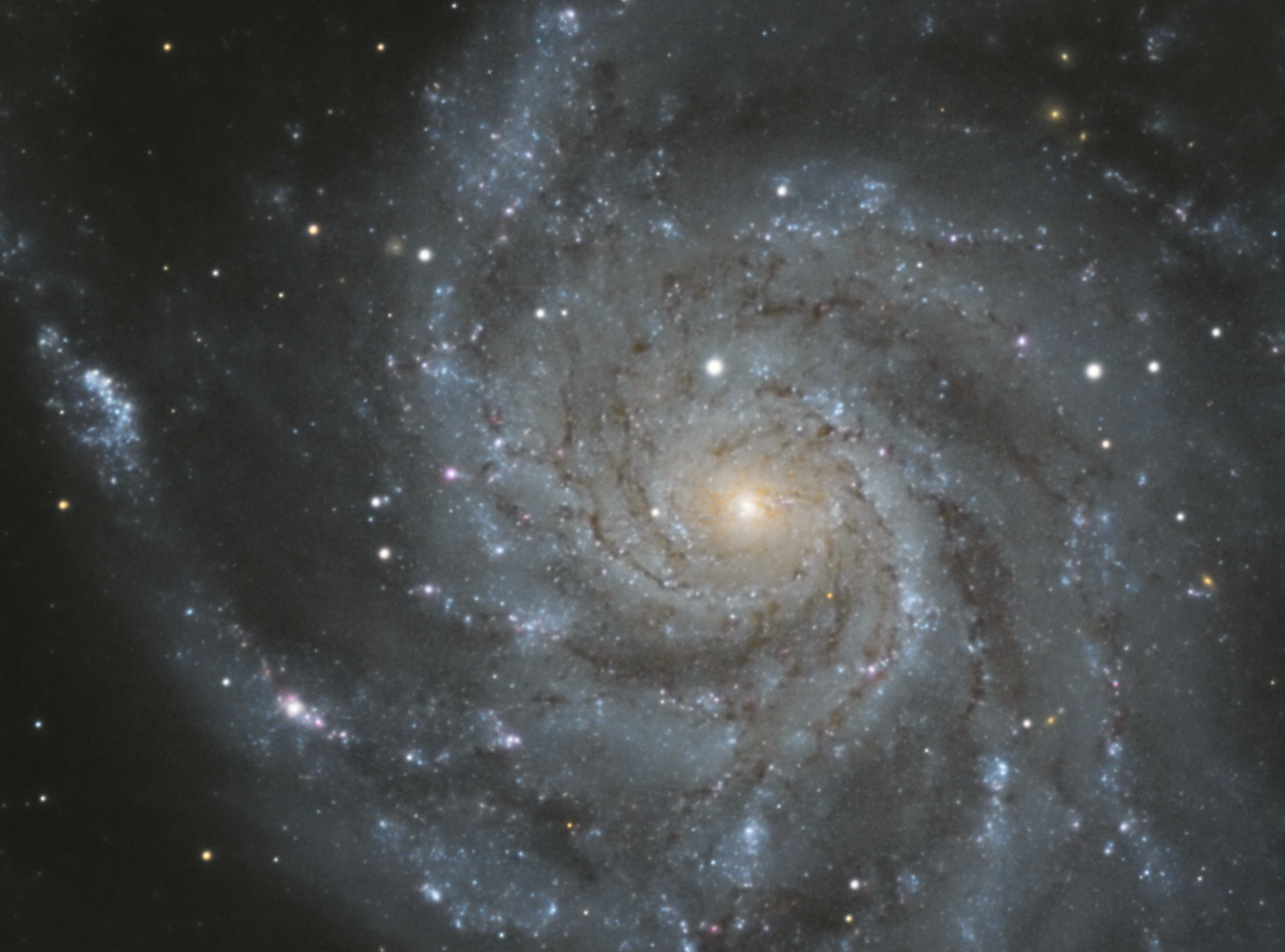 M101_LRVB_Preview_noyau.jpg.8f2213c2840aba6e1982e737978a0efb.jpg
