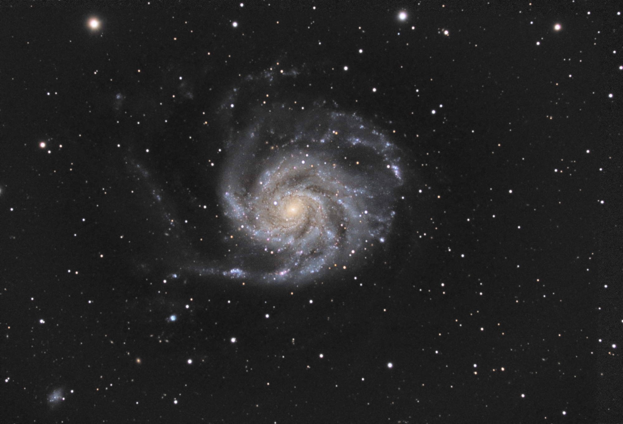 M101_b.thumb.jpg.2faee0423969322ba69f872973dd0239.jpg