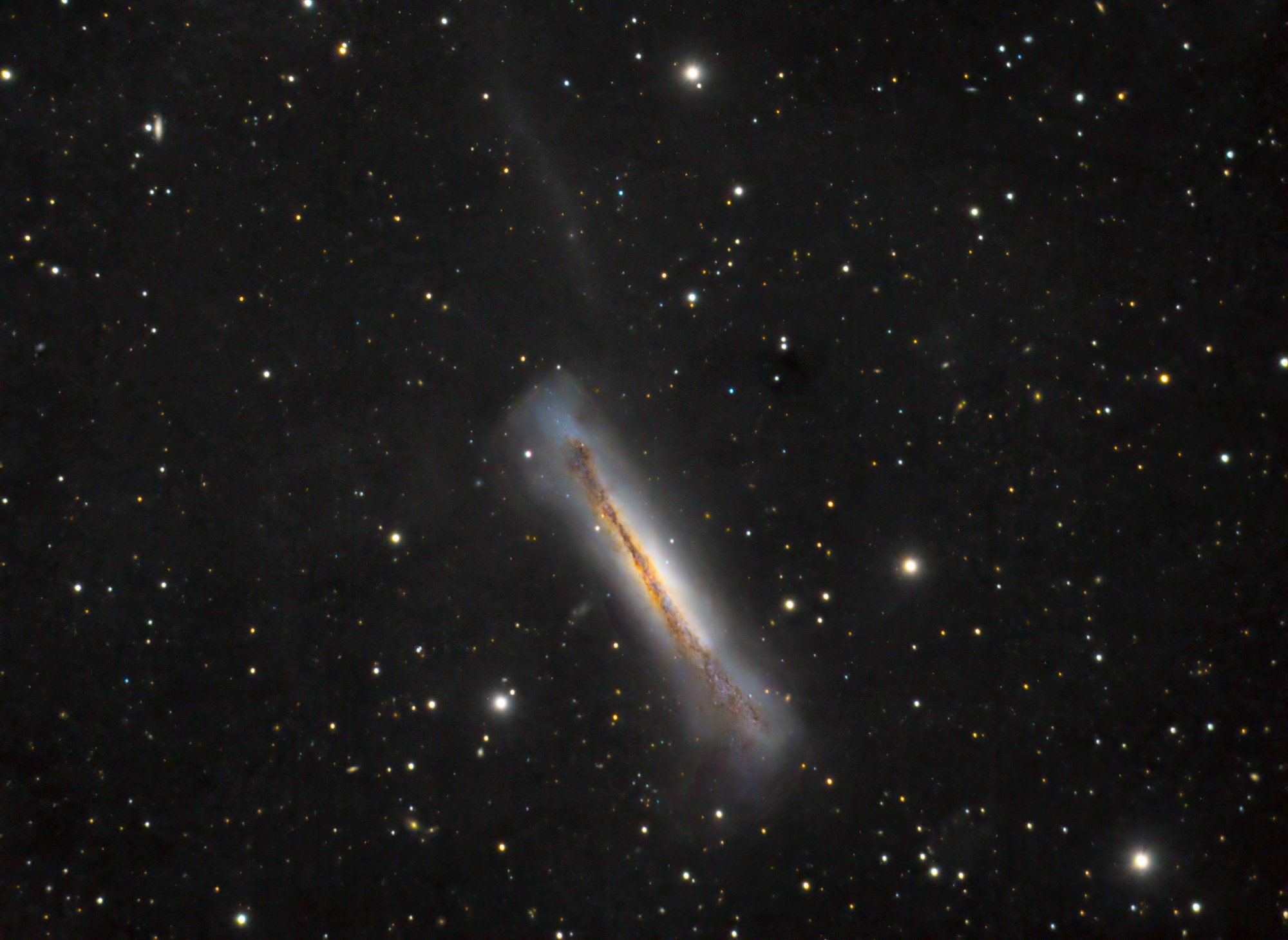 NGC3628_LRGB_final_fdc_web.jpg.d9cf553ec7439ecfa22392ffc56ce33b.jpg