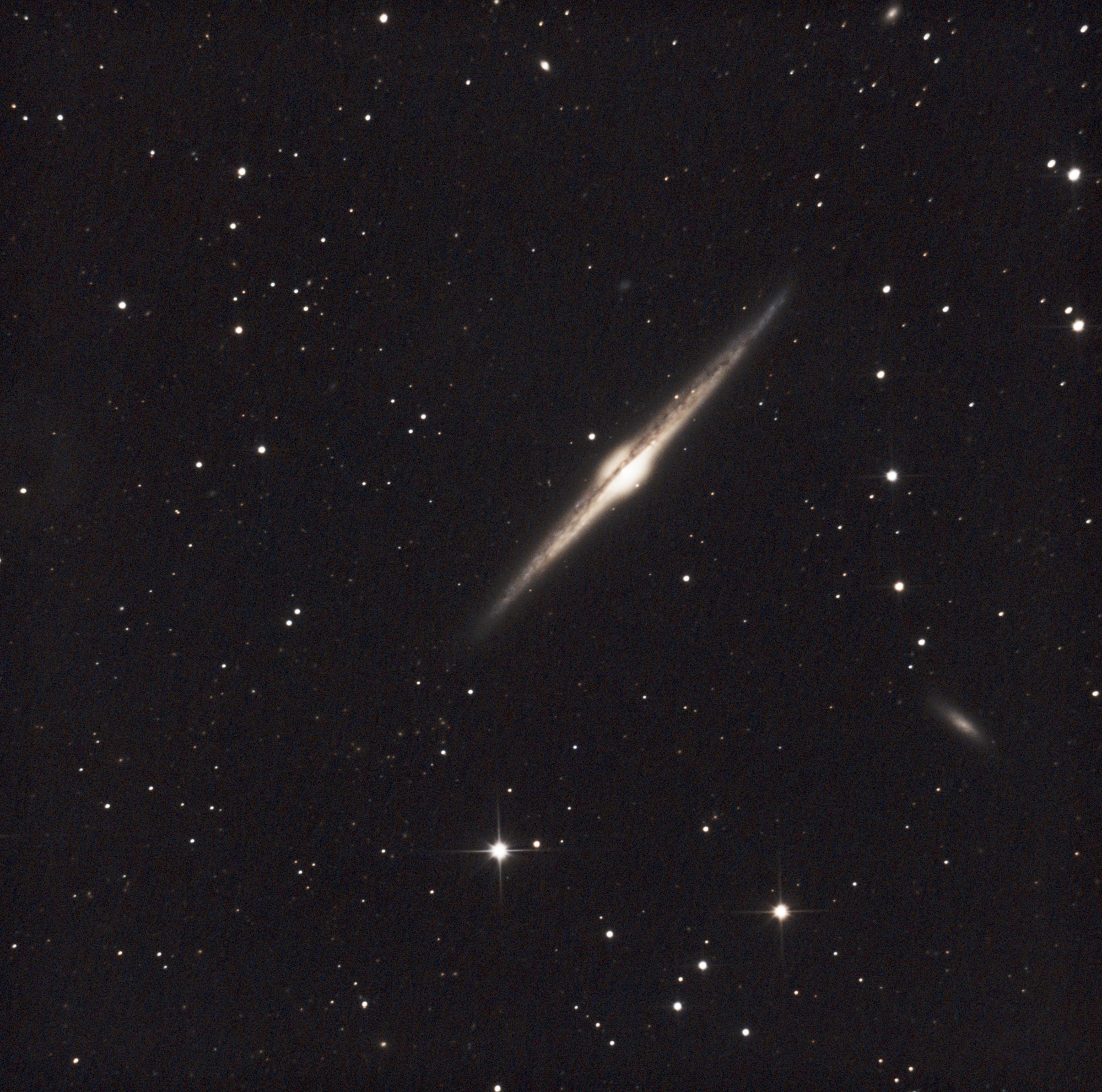 NGC_4565_100x1mn.thumb.jpg.1eba5a8fb178cb2d712fc4b86310b97d.jpg