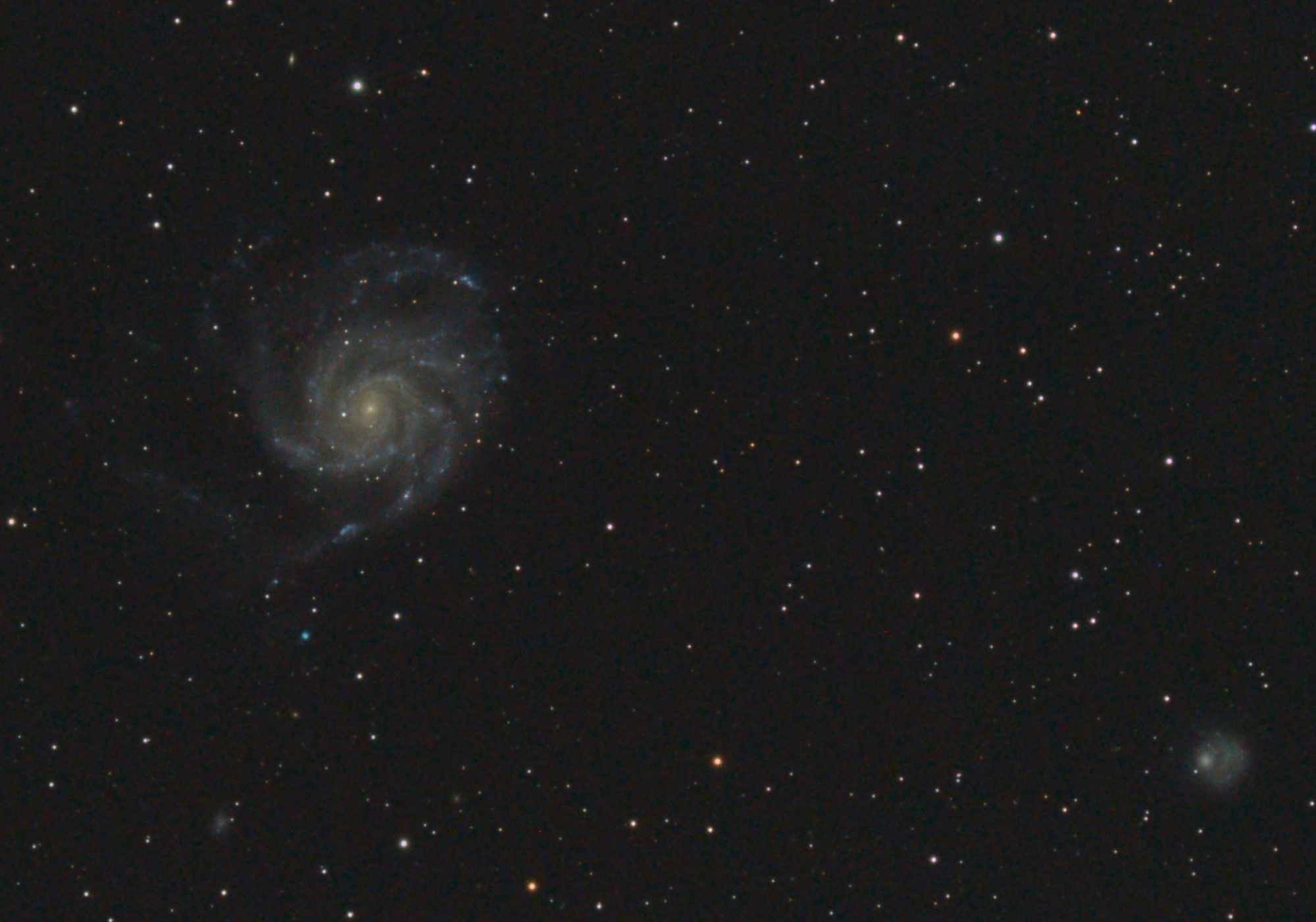 M101 PH1L1PP3 crop.jpg