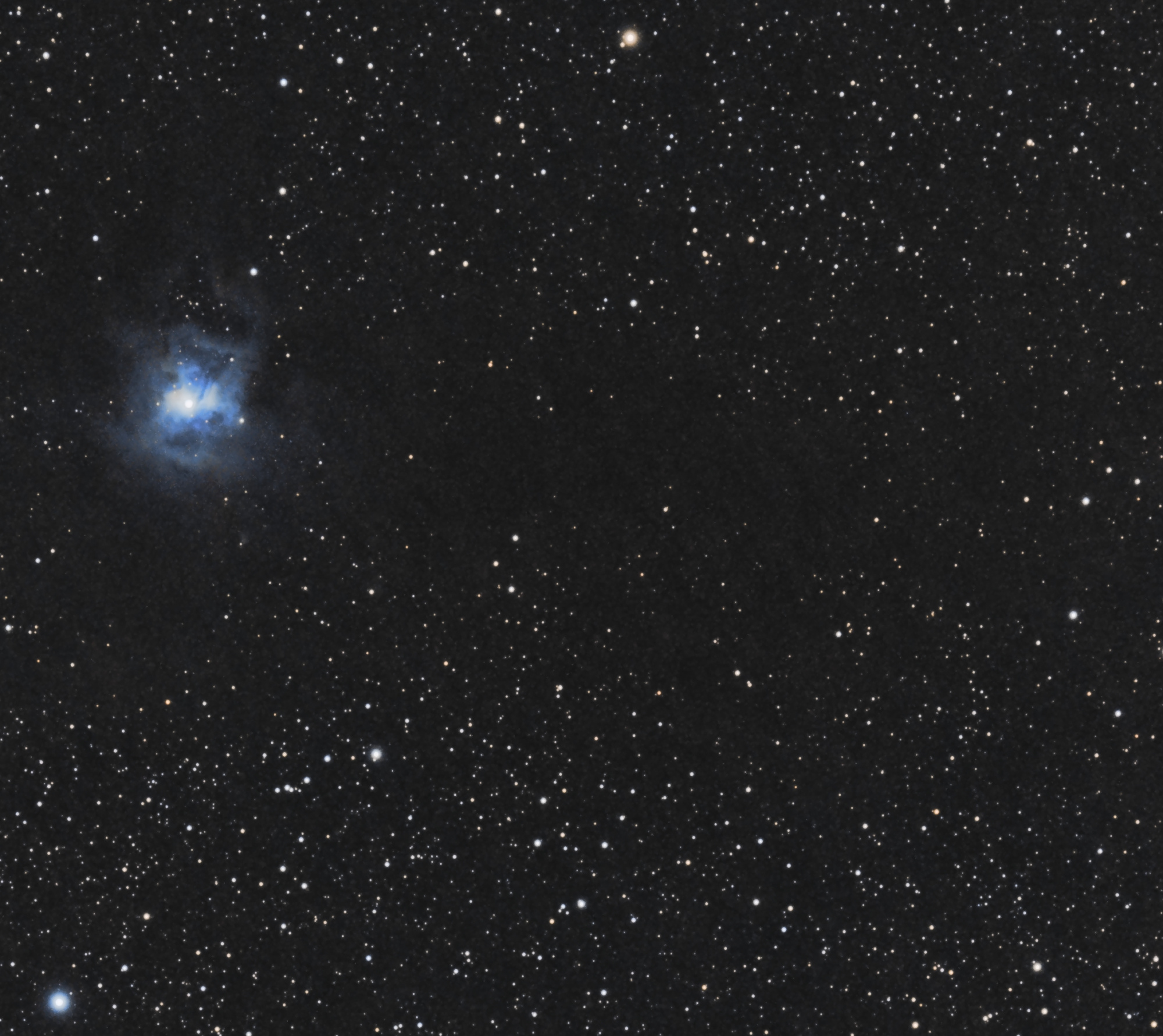 NGC7023 PH1L1PP3 2020 05 17 ESSAI2 Crop.jpg