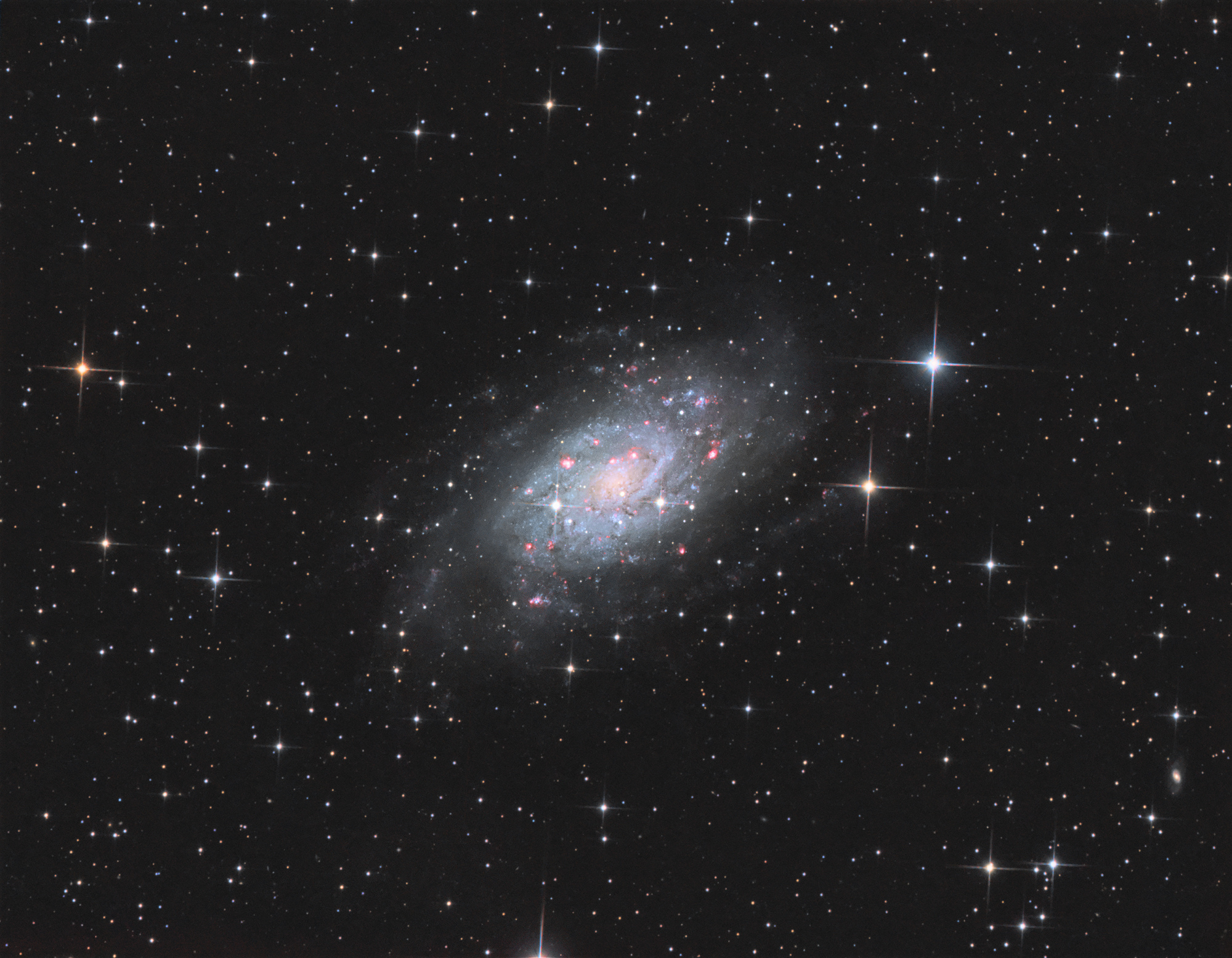 NGC2403-2019.jpg