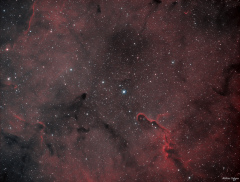IC1396 HOO