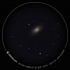 Oeil noir  GE  eVscope-20200423-214746 mod.jpg