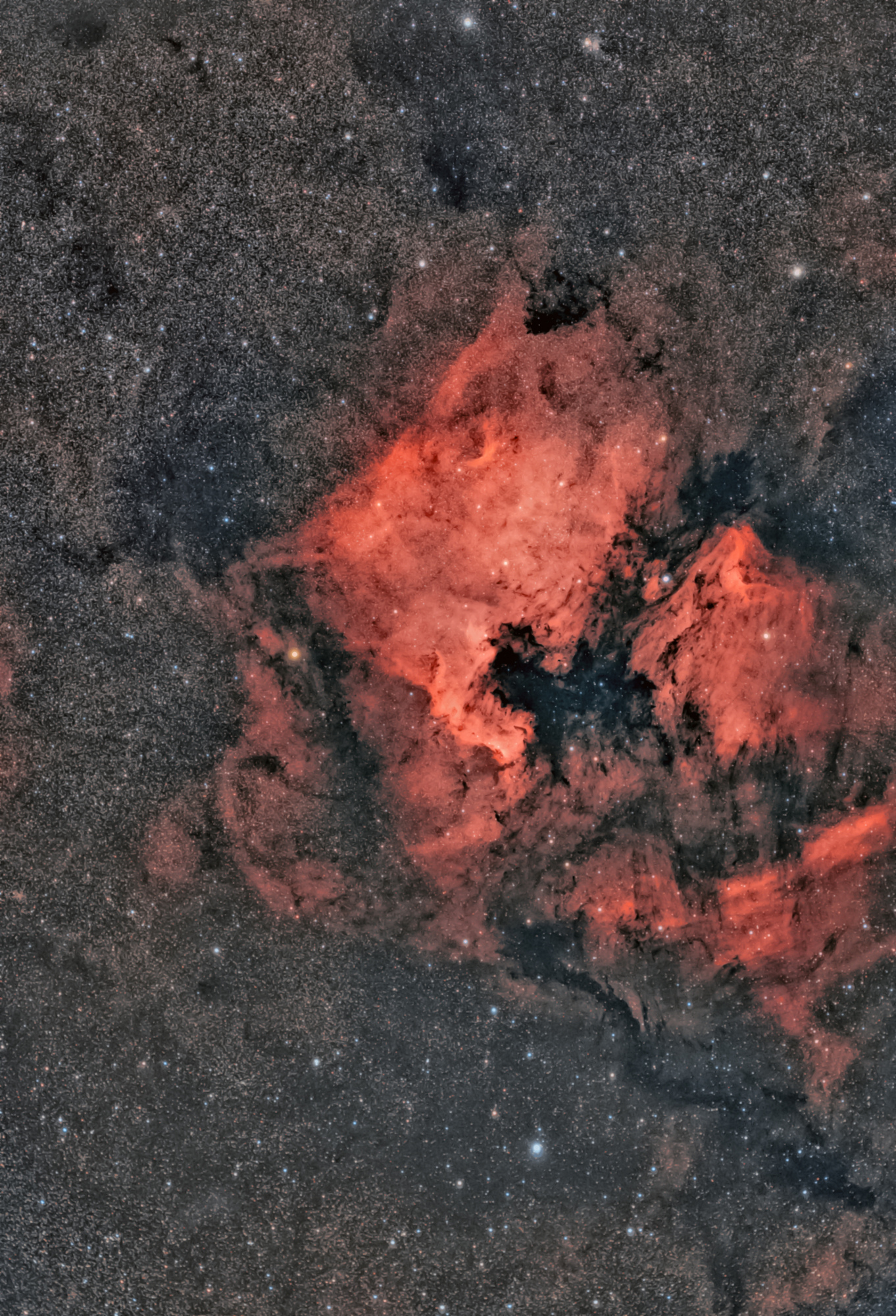 NGC7000 et pelican_resultat.jpg