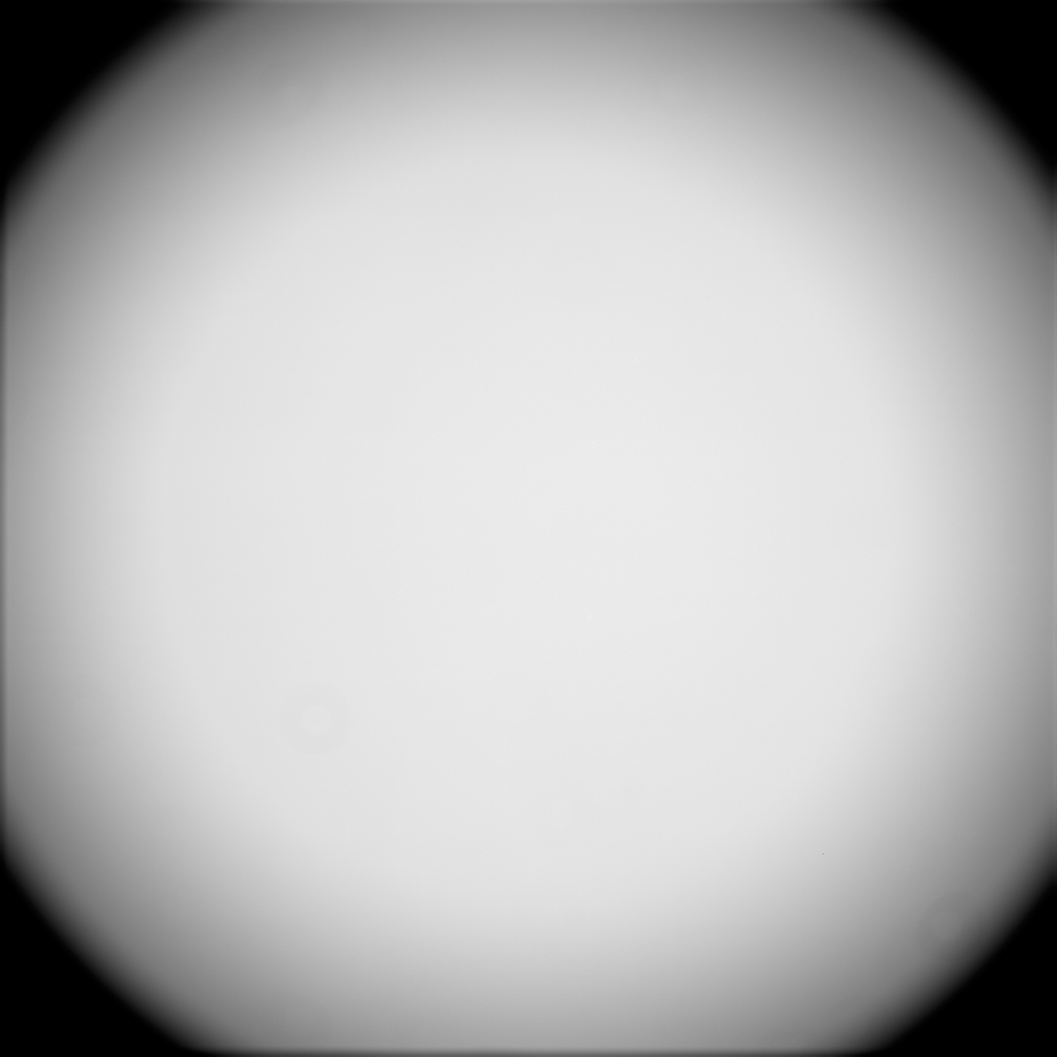 Maitre_Flats_UTC_2020-03-20-03h44m04s_LUM.jpg.acff20c734f7e054a83b75cec601b8b4.jpg