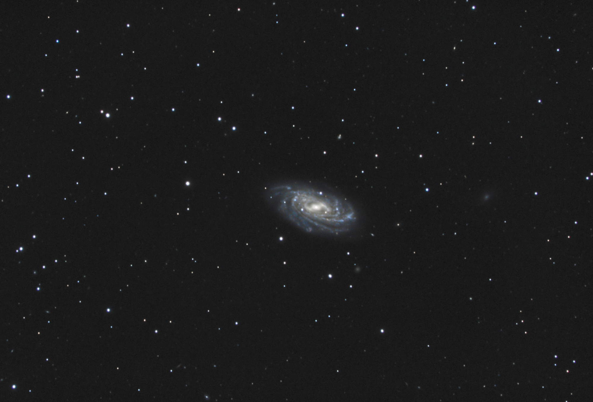 NGC3953.thumb.jpg.4fb3728e4f81a17636764e421ce03a6e.jpg