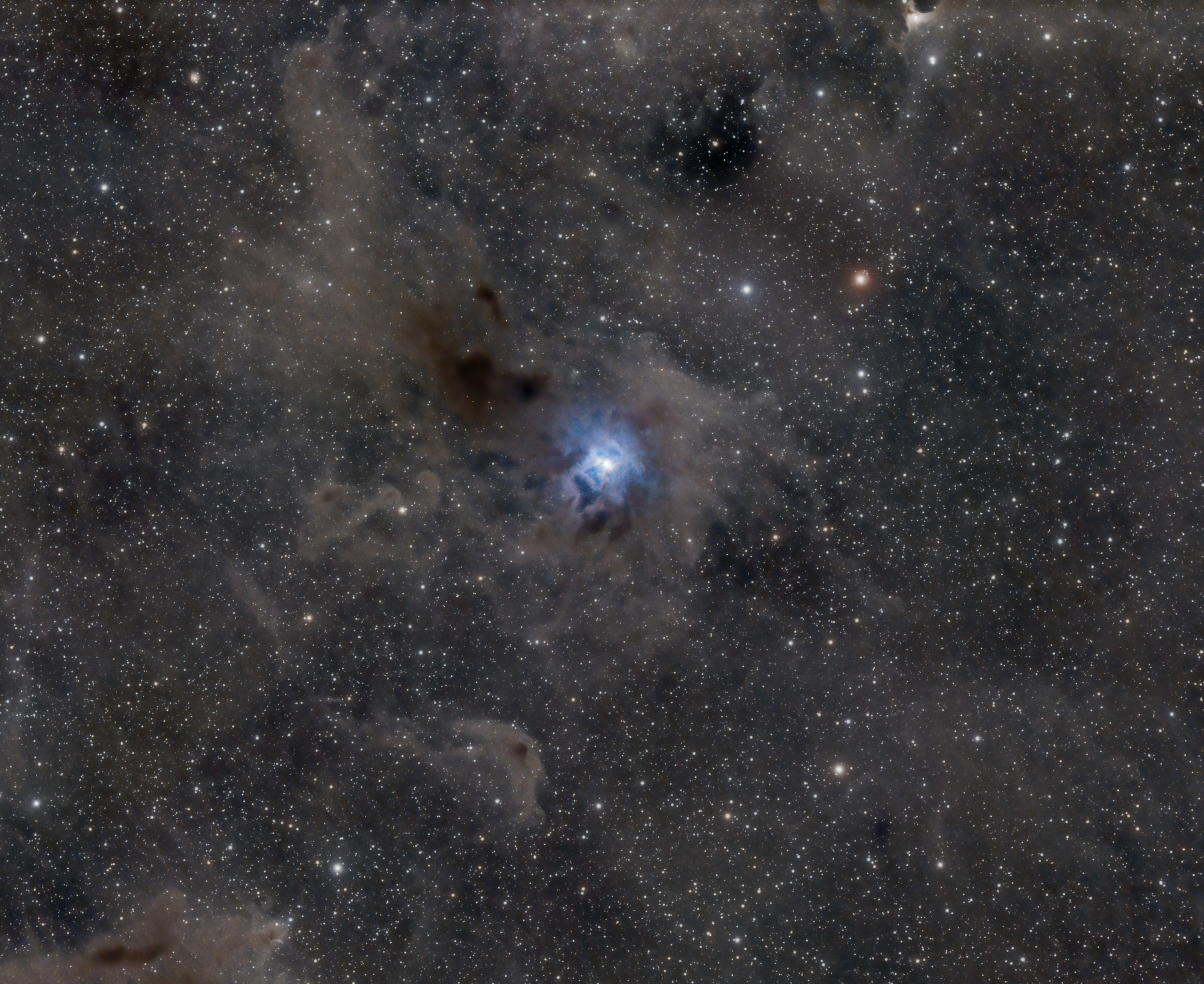 NGC7023_(2).thumb.jpg.f9663eeda474f6aa56b3fb890ac4fdf7.jpg
