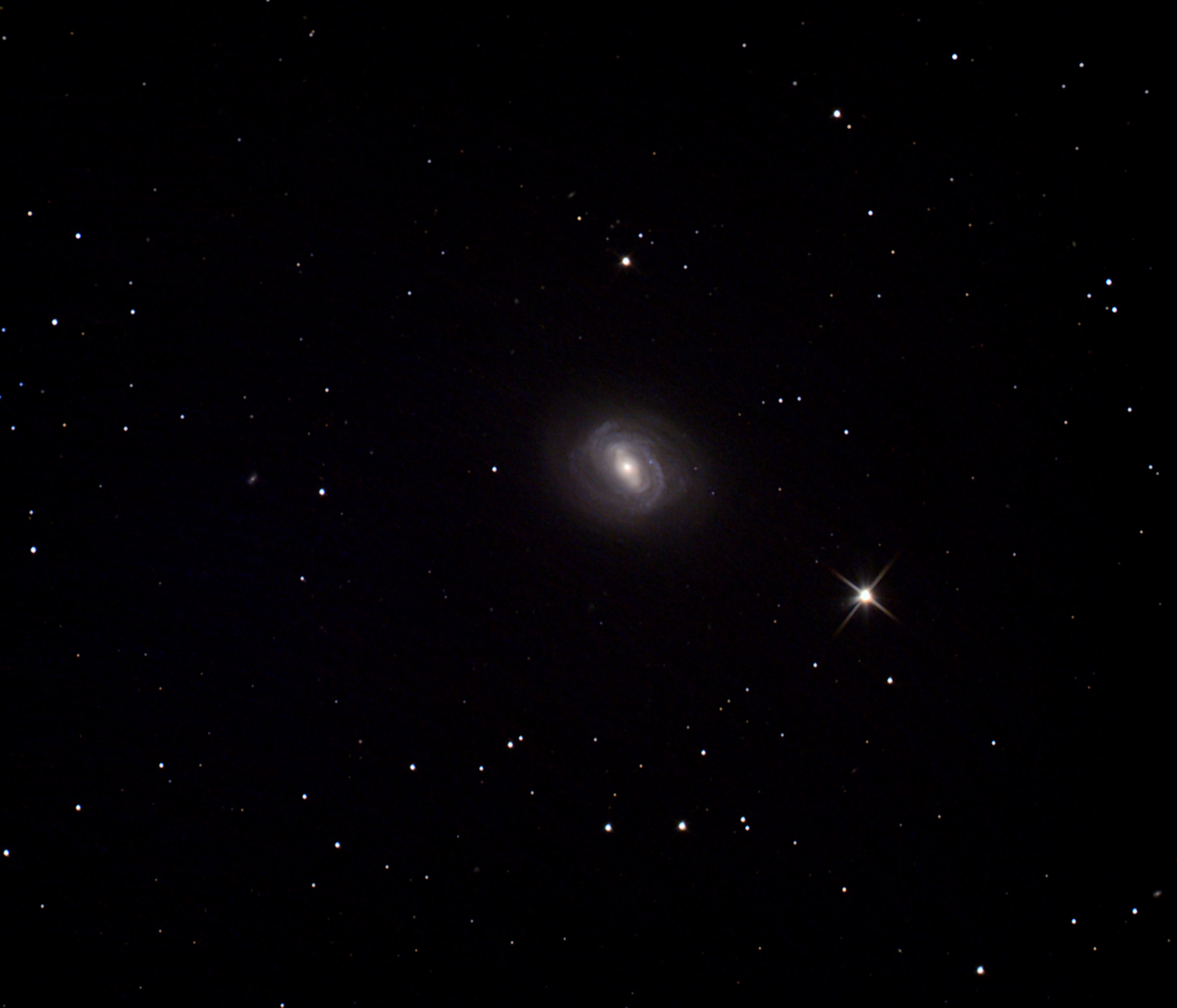 Pastrosurfacer2_NGC4394_NGC4394_24052020-21h50TU.thumb.jpg.07f101ff03f609b5e43c59665319ff2c.jpg