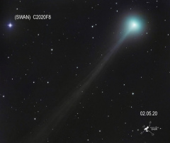 Comète C2020F8 (swan) 020520  Djp