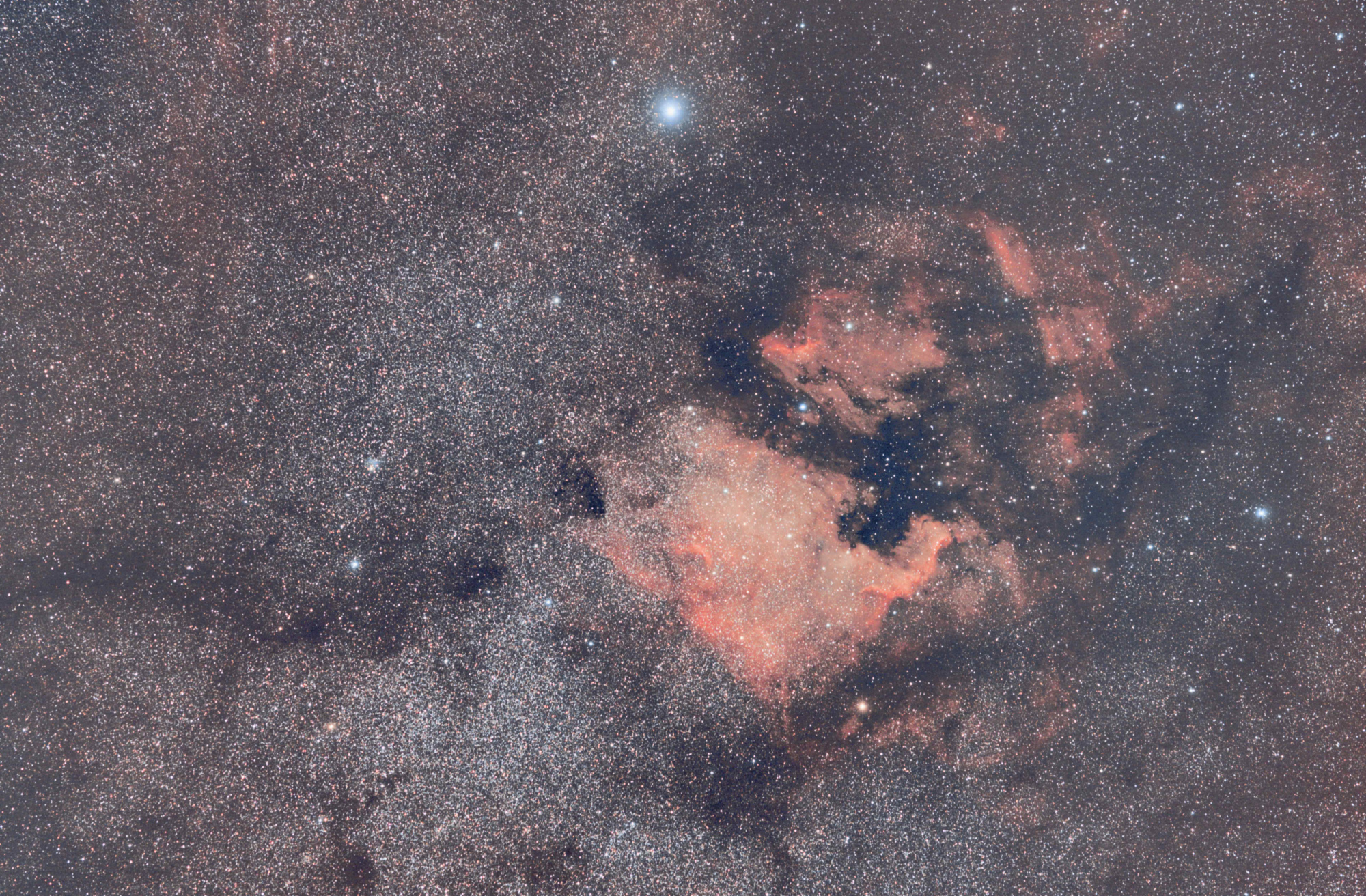 NGC 7000 135mm  1000da SA.jpg