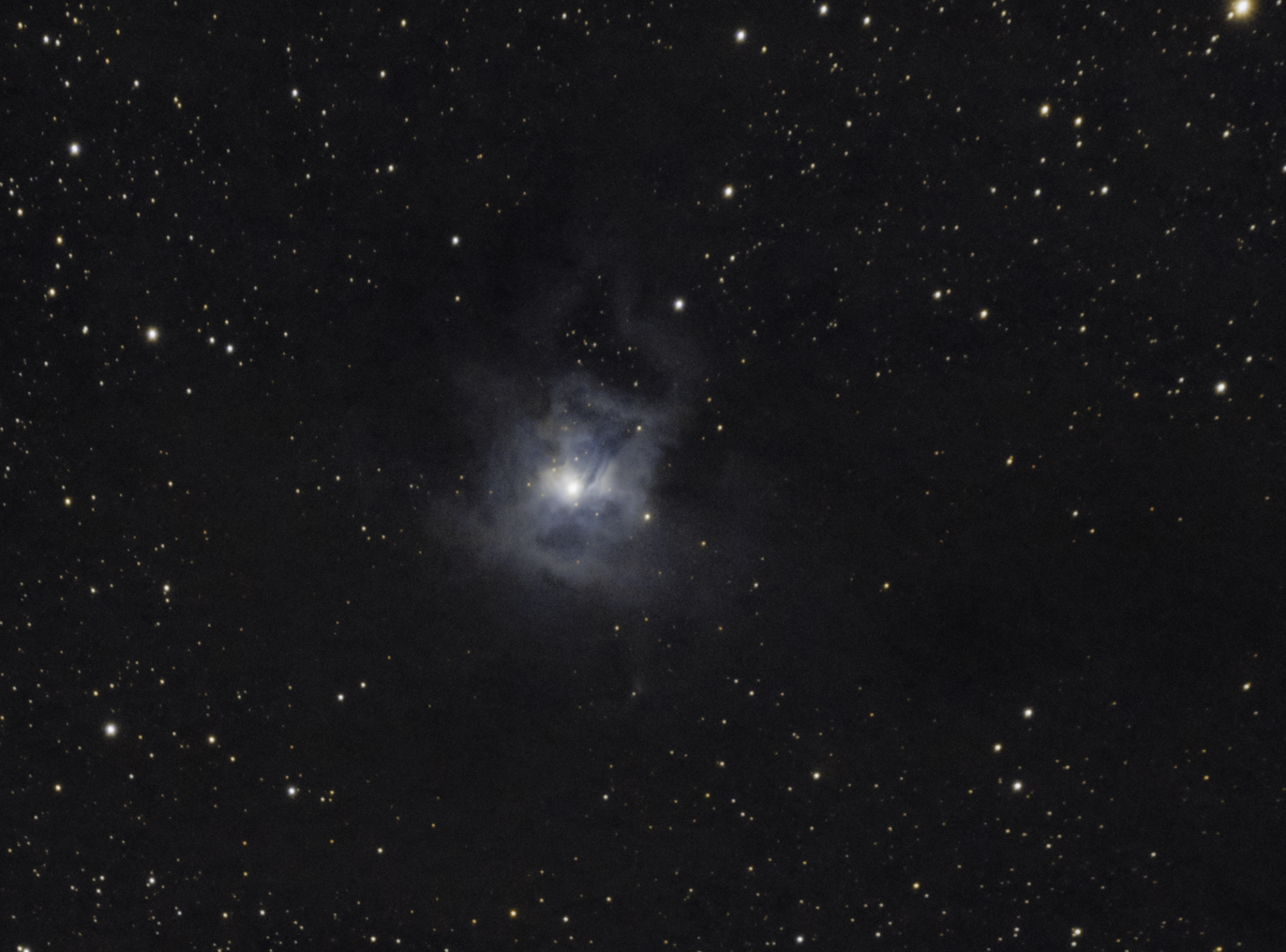 5f1c28a39b52f_NGC7023Crop.thumb.png.ad001079163c0845a49c8538ee3bb73f.png