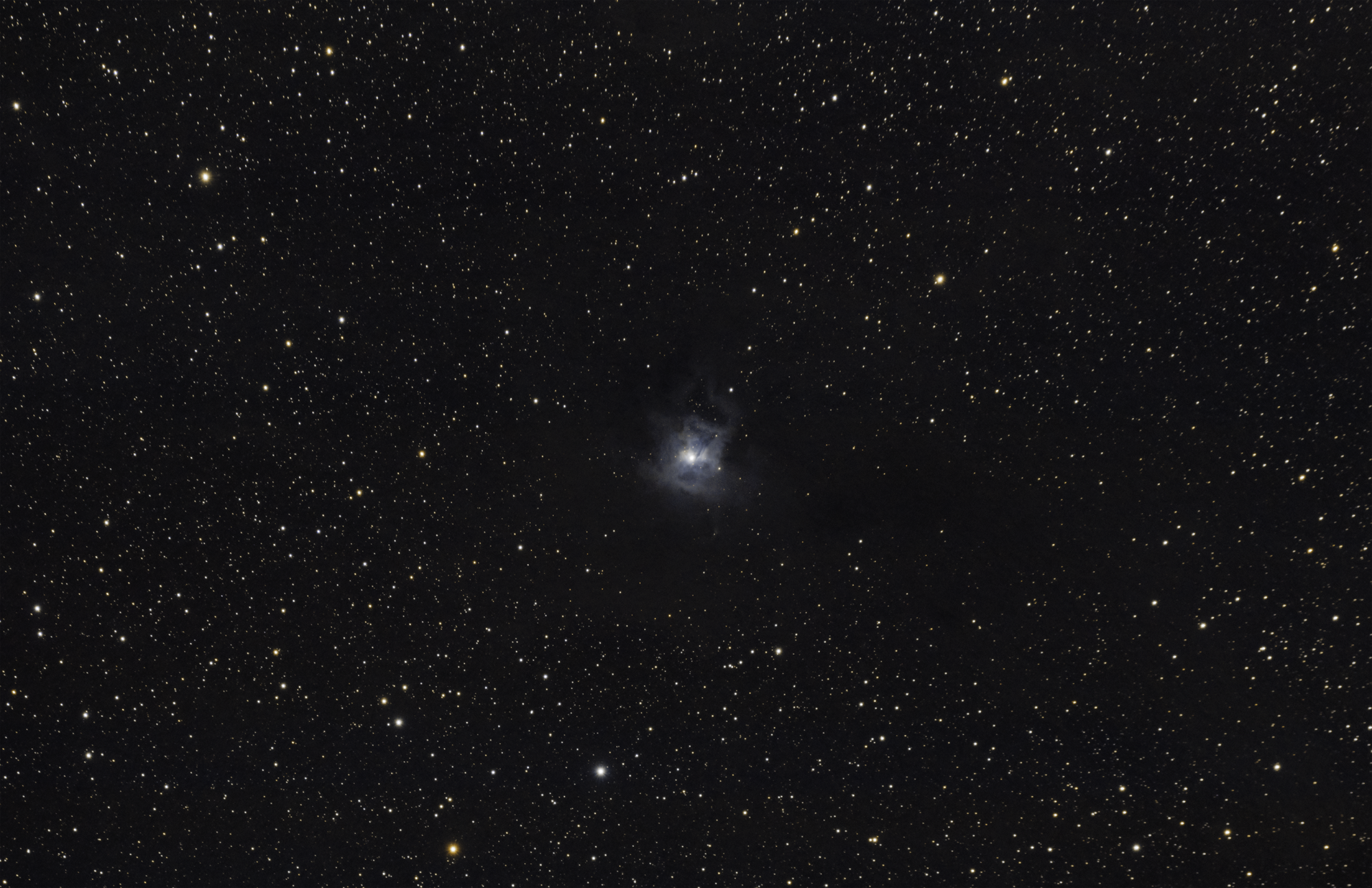 5f1c28c0daed4_NGC7023.thumb.png.ffd5d8755249b00439a3624bbf620e0f.png