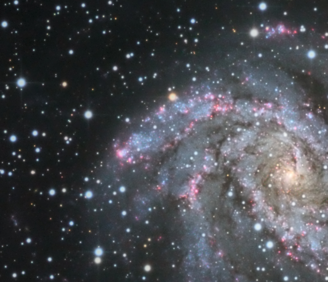 NGC_6946_arm.jpg.2b57004494e7a165da39fec02a4c17d6.jpg
