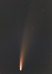 Comète C2020 F3 NEOWISE.jpg