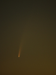 Comète C2020 F3 NEOWISE