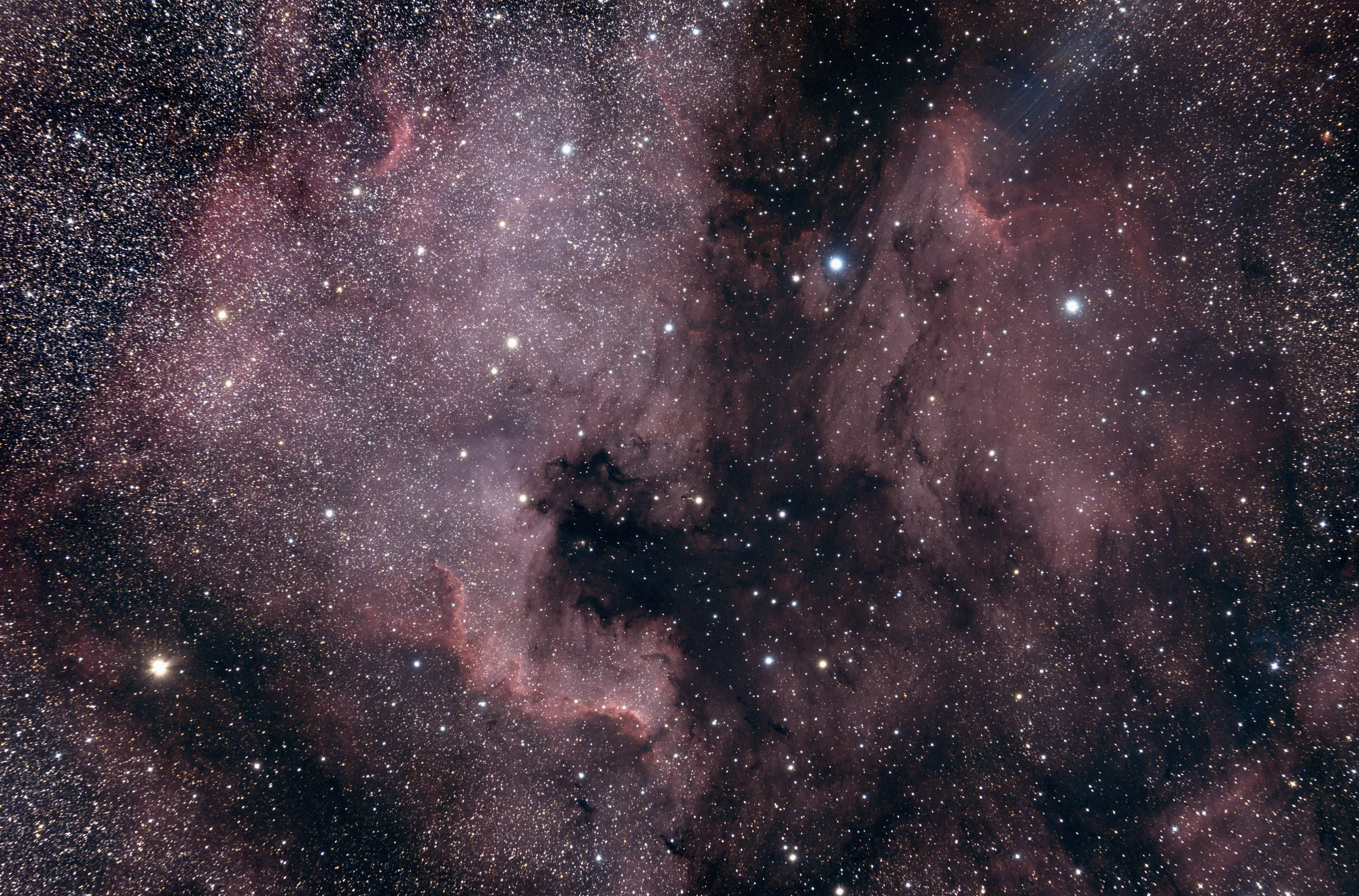 5f3cf2e07070d_NGC7000140820.thumb.jpg.fadc5a3cbf4977f0cc14169984e5821a.jpg