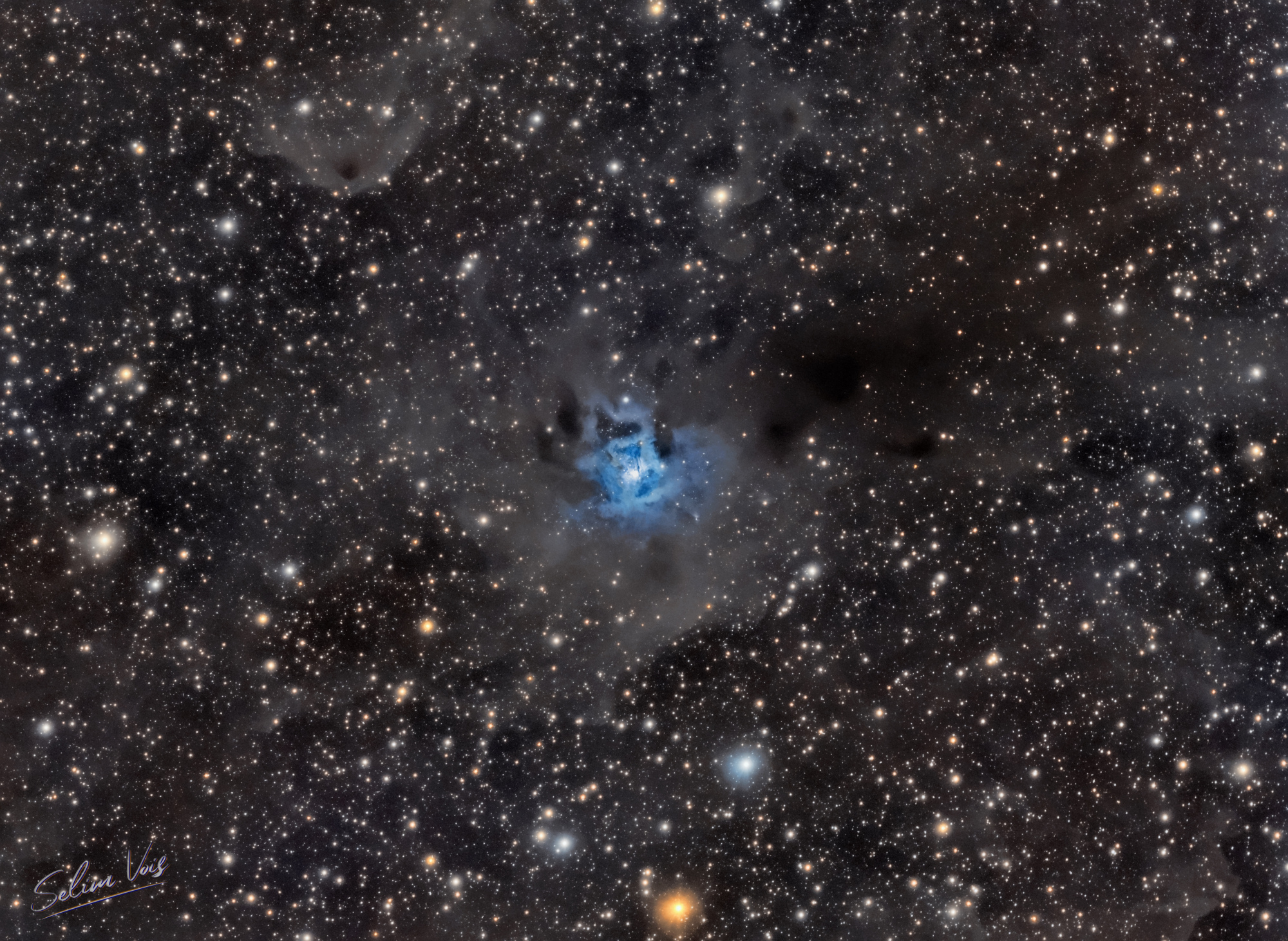 NGC7023_LRVB_V14.jpg