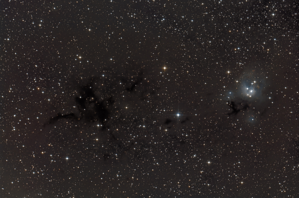 De NGC7129 à LDN1175