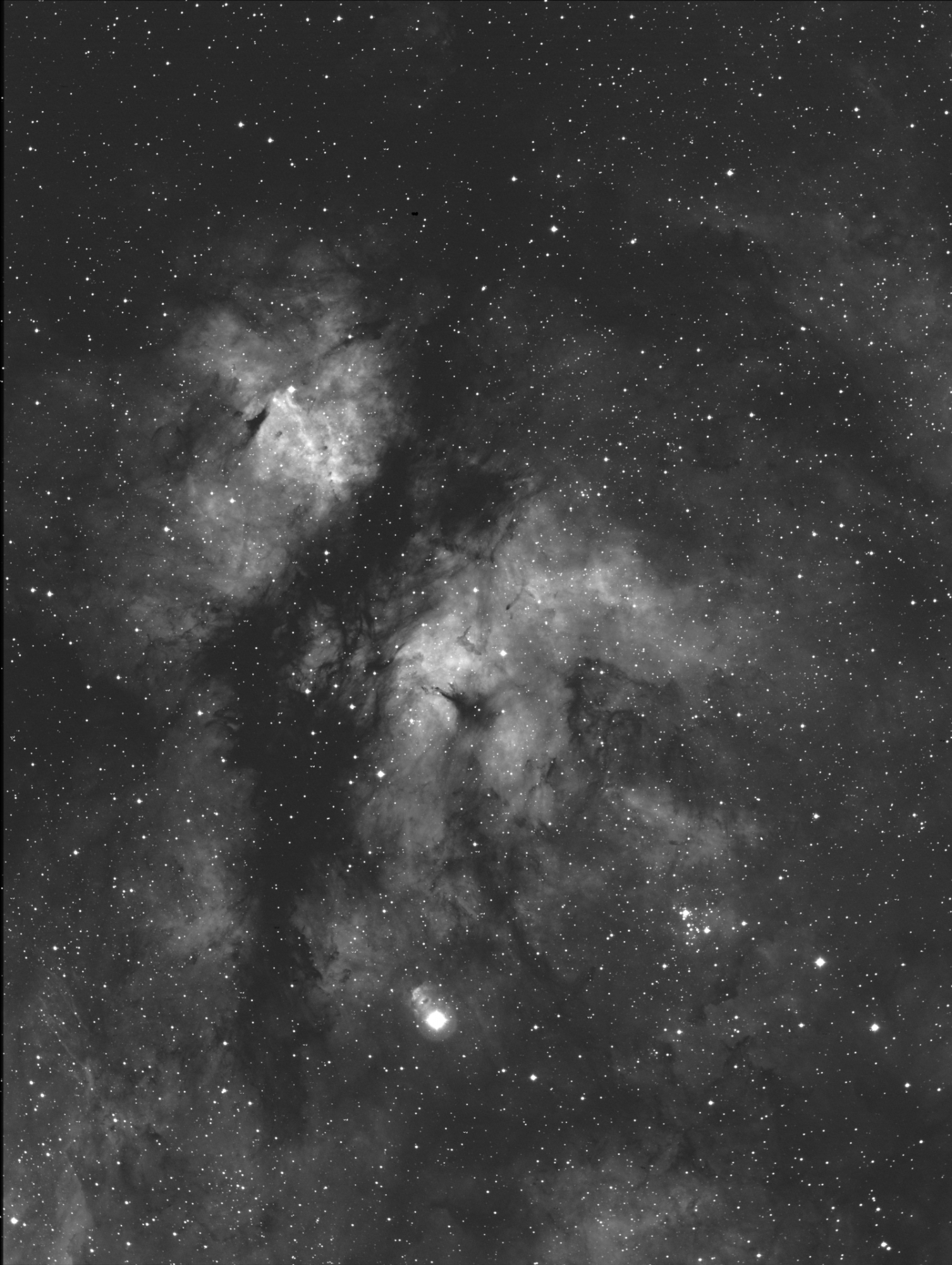 IC1318_11092020 small.png