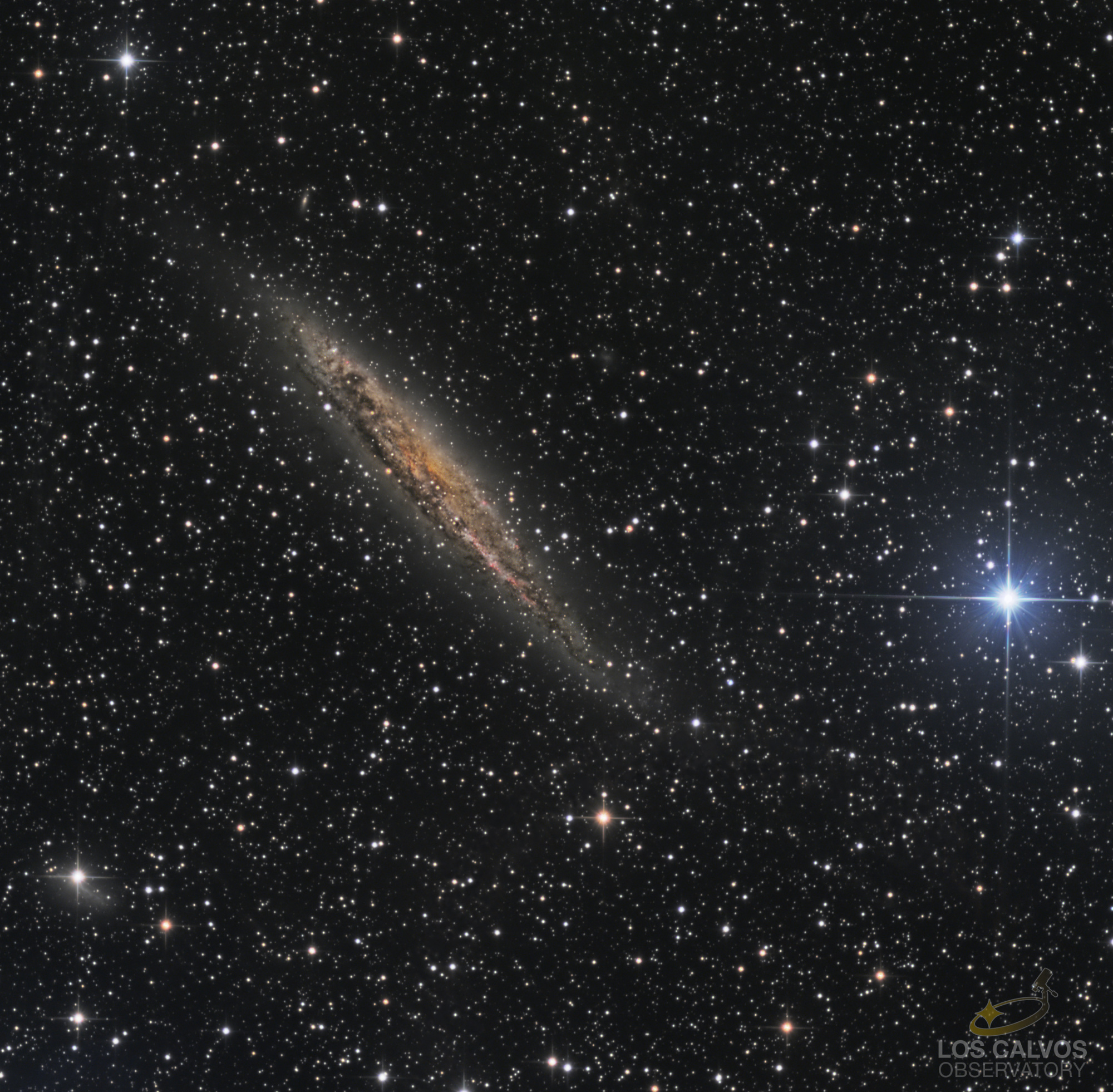 NGC-4945_Brute_RGB_photocolor_NLMskStr_PS_crop-finalev2 copie logo.jpg