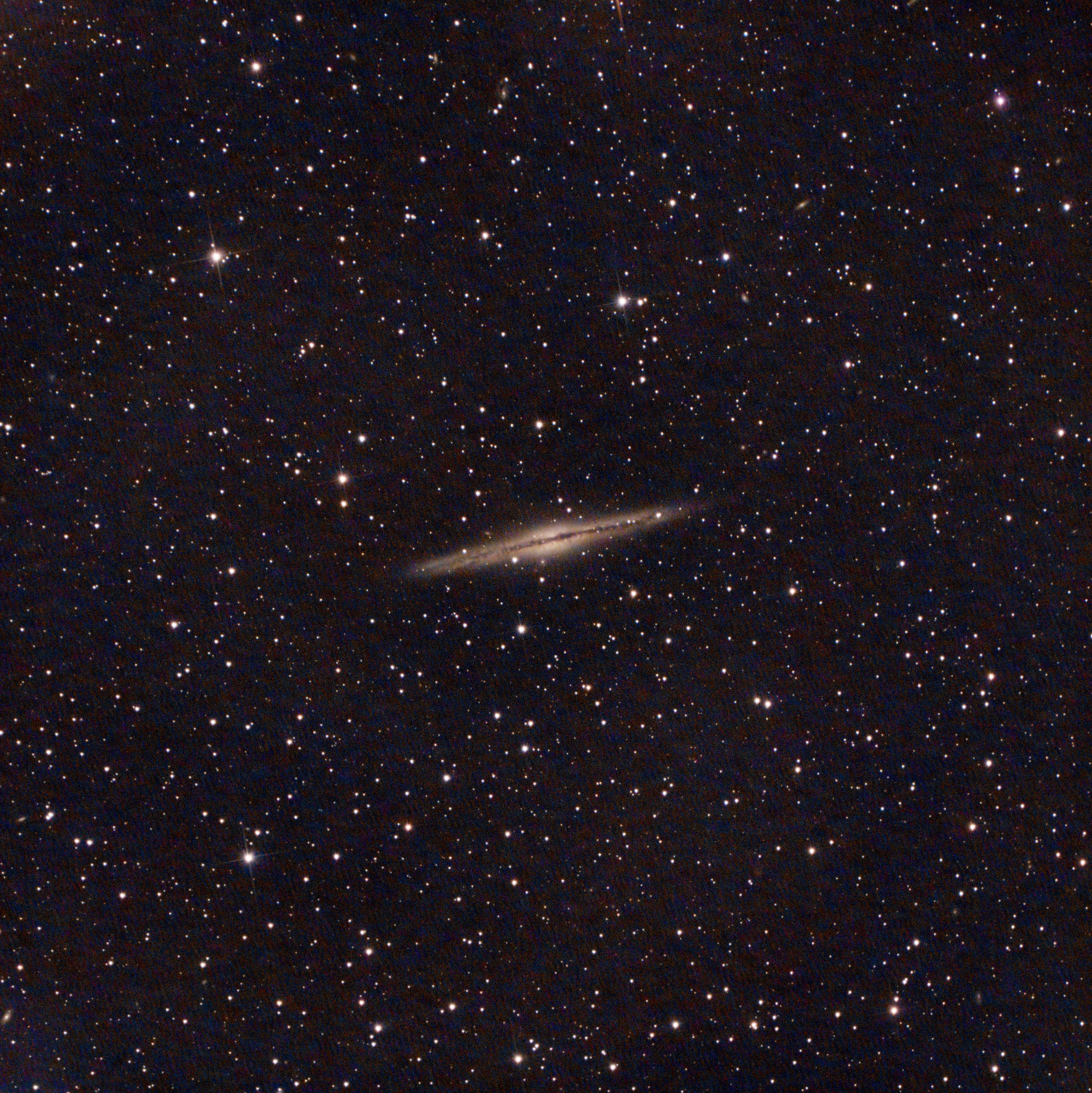 NGC891_Newton.jpg