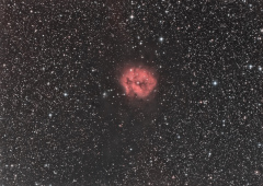 Le Cocon - IC5146 au T410