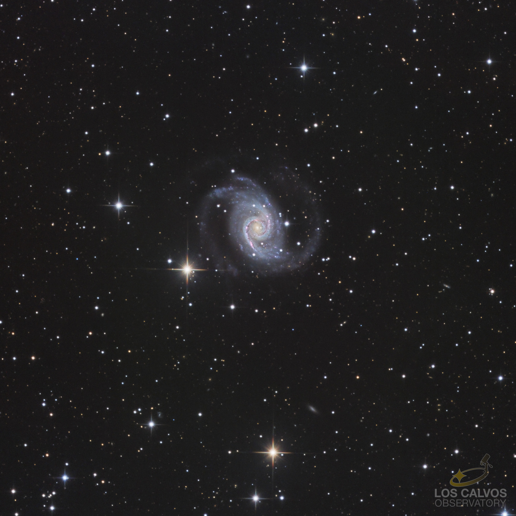 NGC-1566-Version Finale-logo-crop.jpg