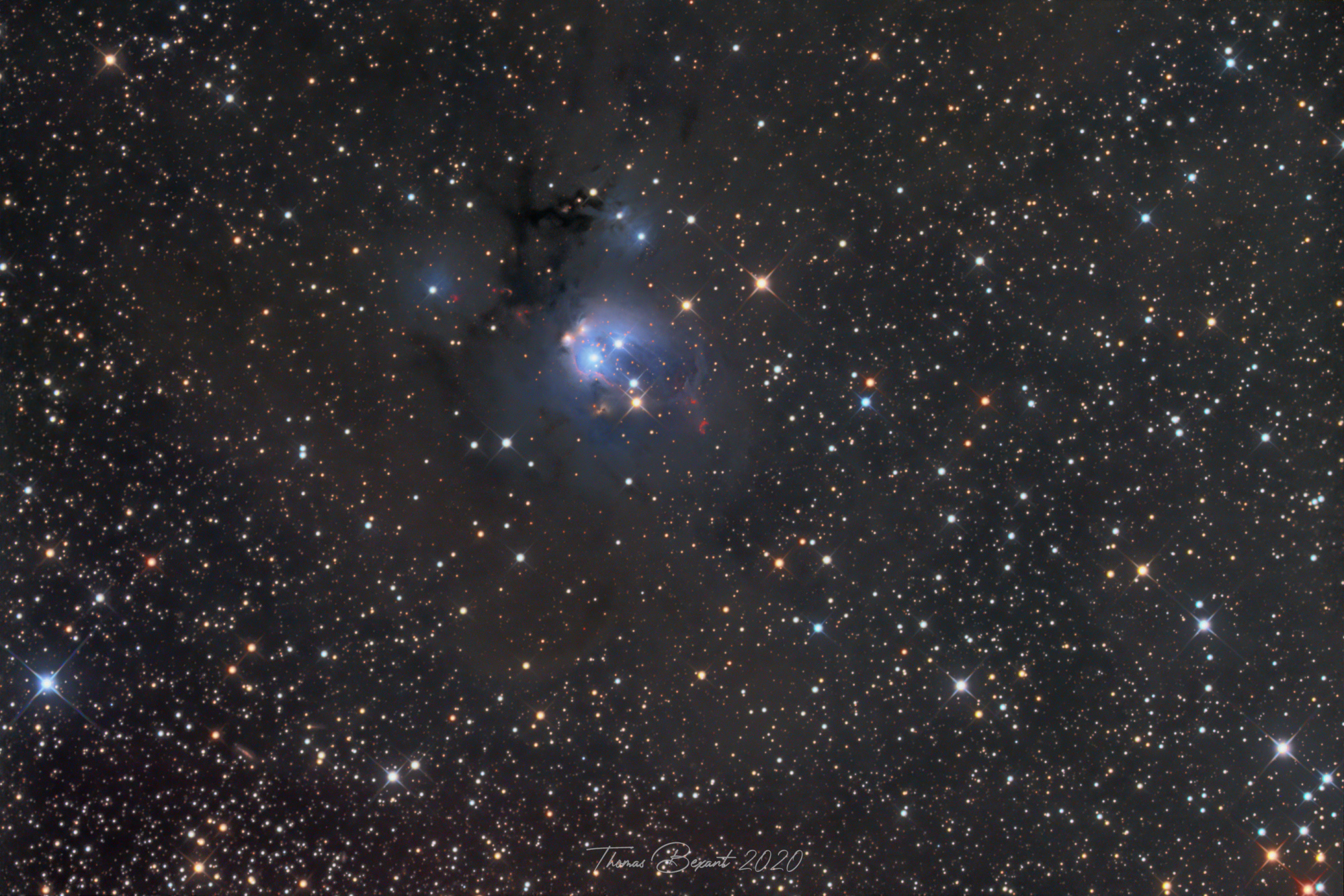 NGC-7129-TBexant-Newthom.thumb.jpg.e35bcfa8d97ba3839ca93b39ed9f6e0e.jpg